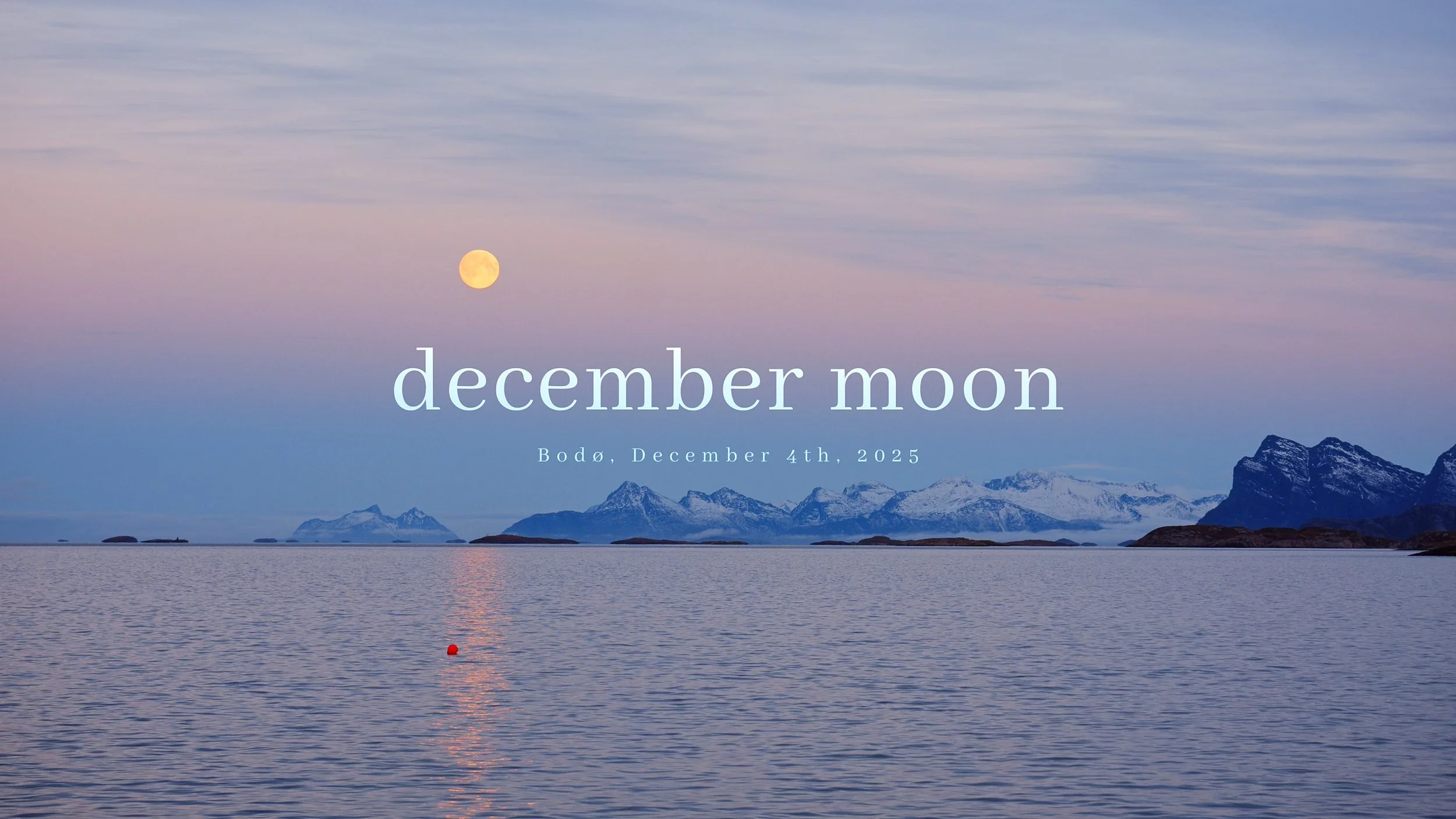 Still 2025-12-29 113429_2.1.1.jpg