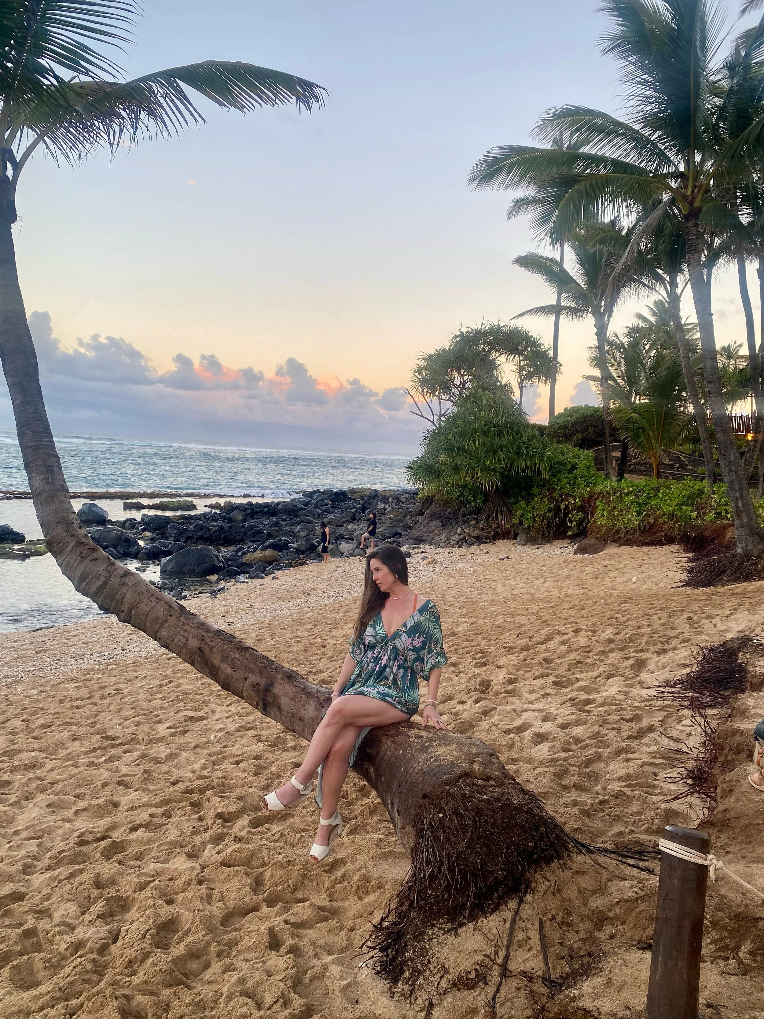 Elemental Immersion Retreat: Island of Hawaii