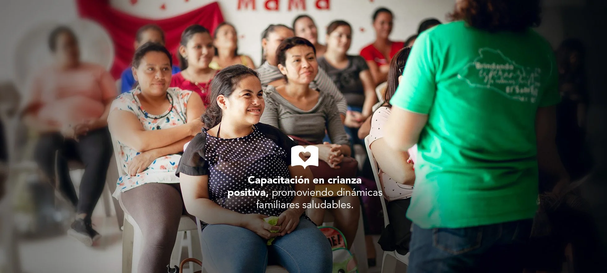 FS2 Español.jpg