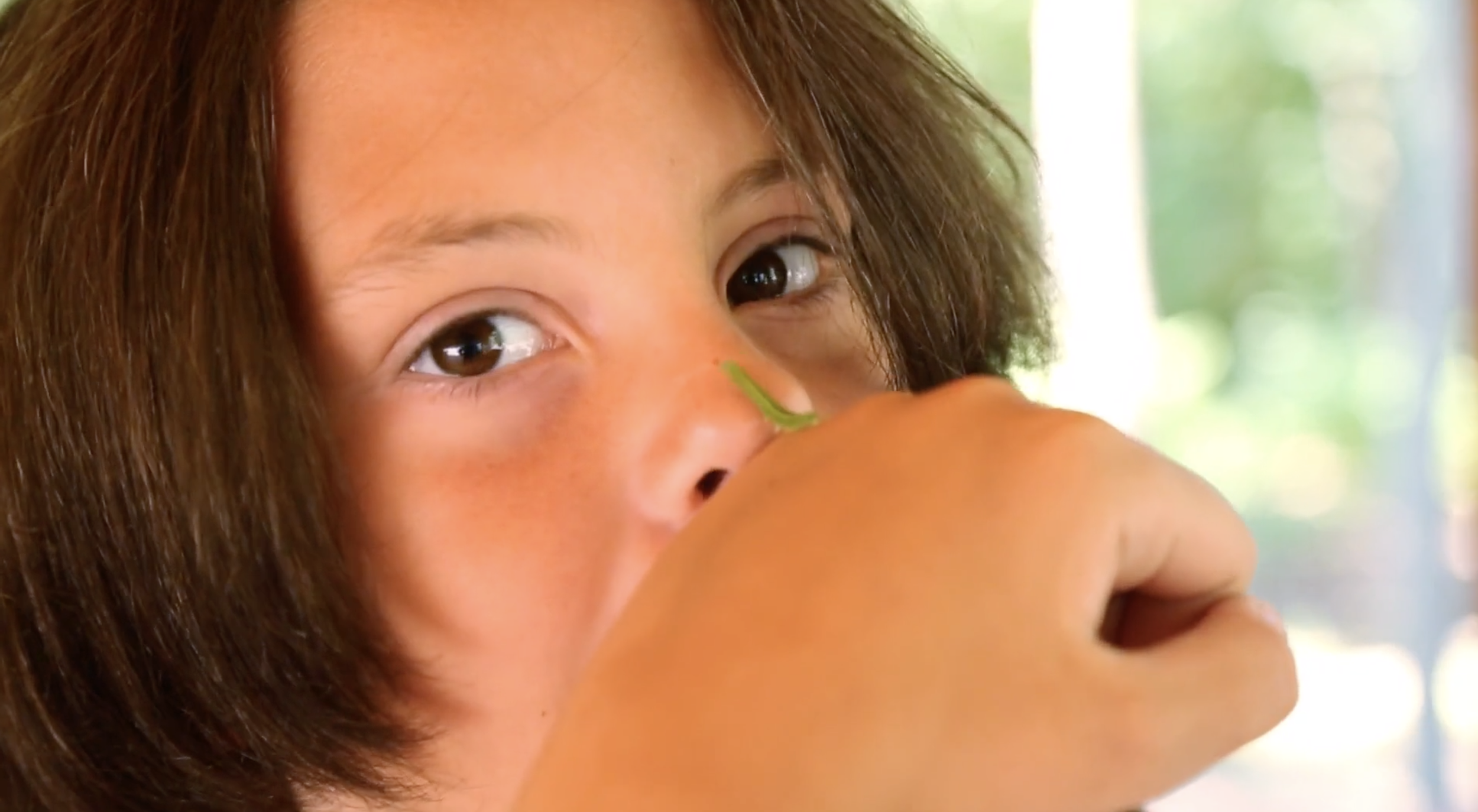 Screen Shot 2023-02-28 at 3.20.52 PM.png