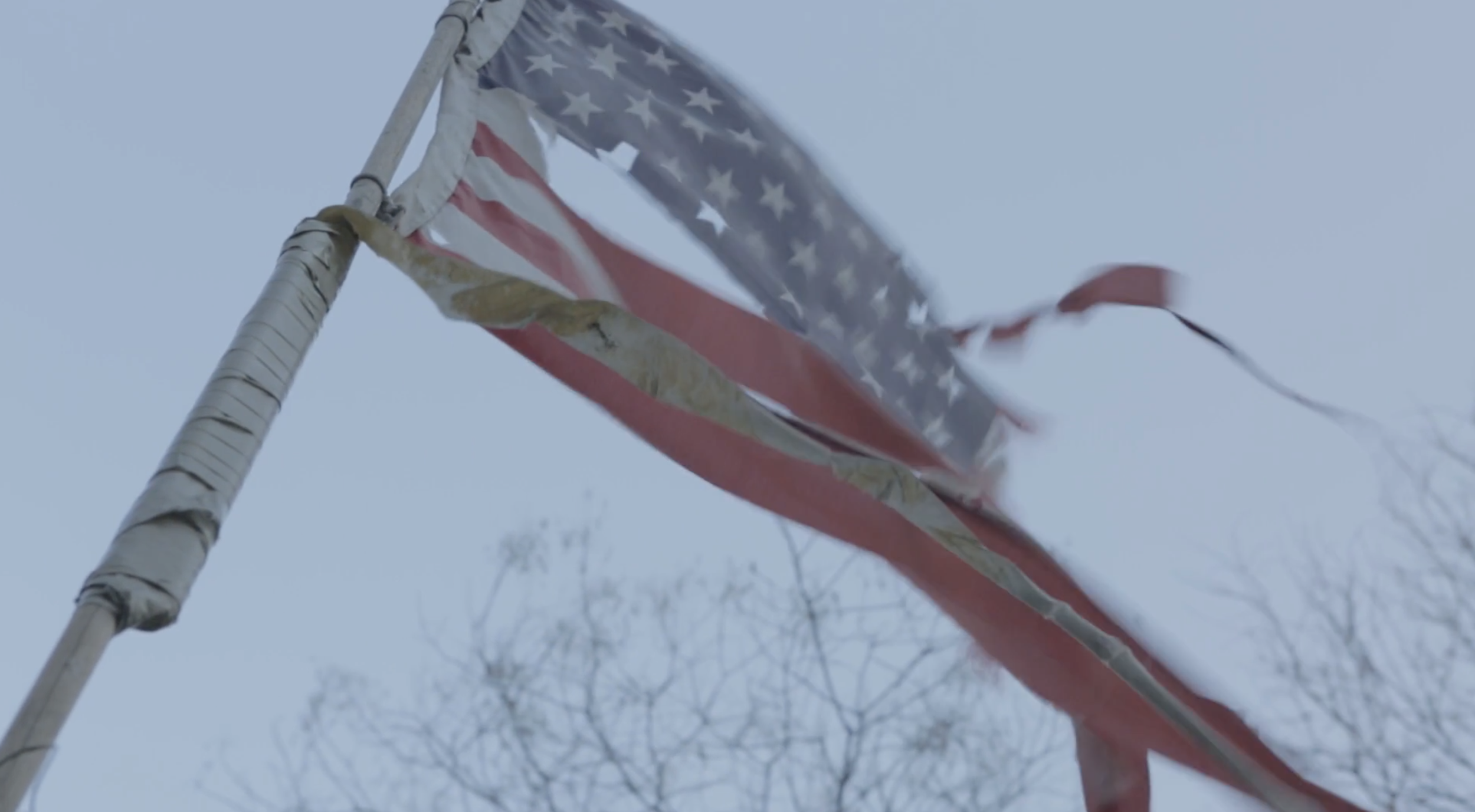 Screen Shot 2023-02-28 at 2.52.53 PM.png