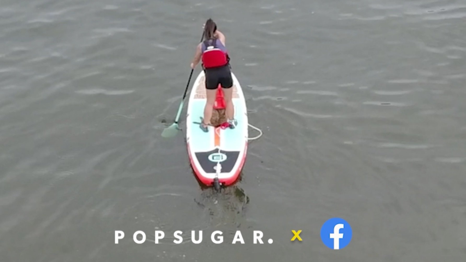 Screen Shot 2023-02-28 at 12.35.05 PM.jpg