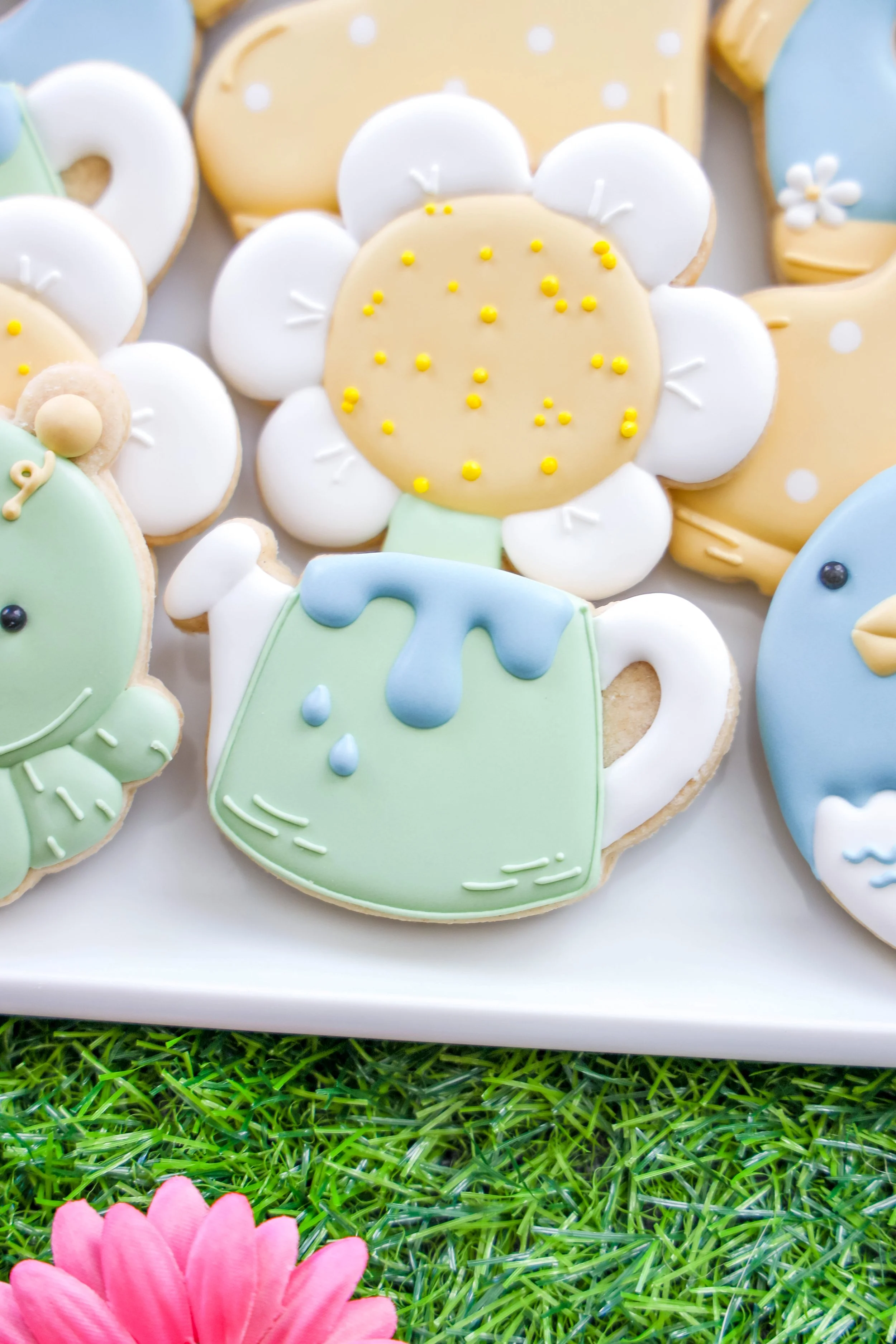 Staged_Watering Can.JPG