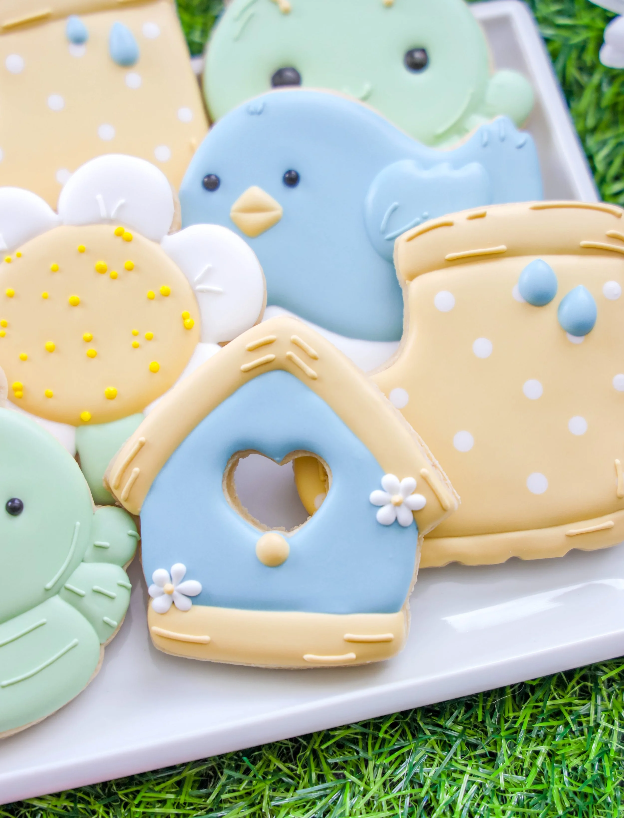 Staged_Bird House.JPG