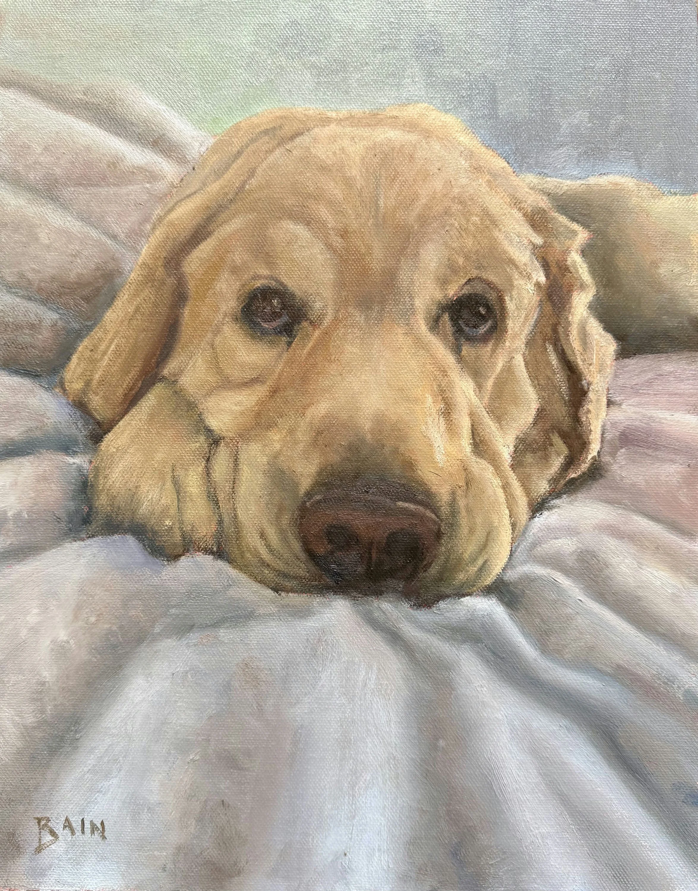 Peter Bain  Oil painter maintaining a studio/gallery in Lexington where I paint and teach and show my work.  I am a juried member of the Rockport Art Association and the North Shore Arts Association.  I also teach at LexArt and Waterstone Senior Livi