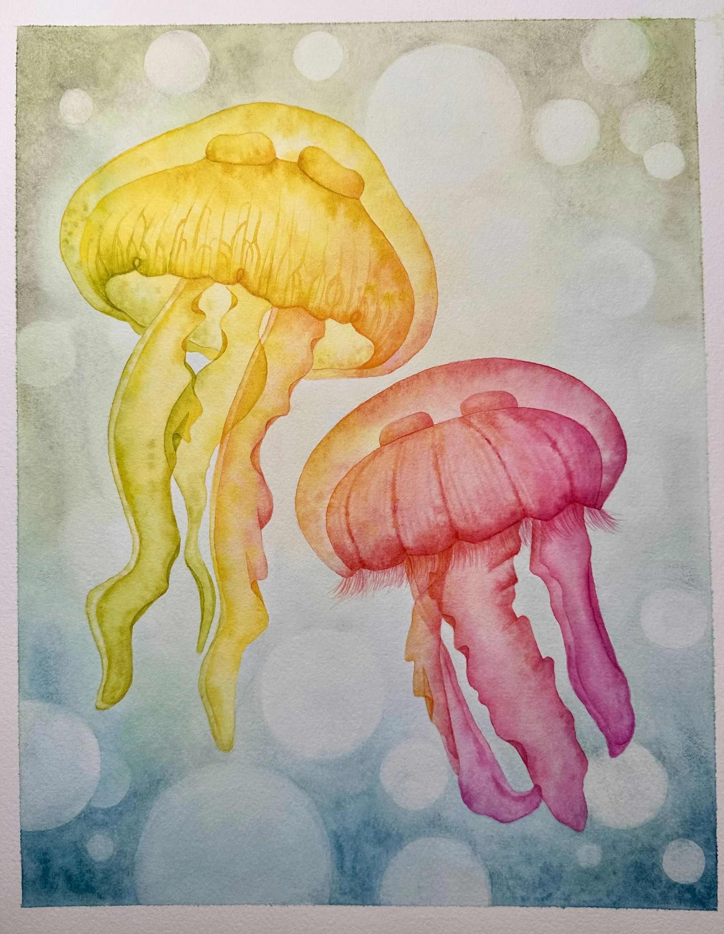 Christina Westeen  I am a Melrose based artist who primarily works in watercolor. My paintings are inspired by the natural world, in particular plants, small insects, birds, and marine life. I am especially interested in trying to capture small detai
