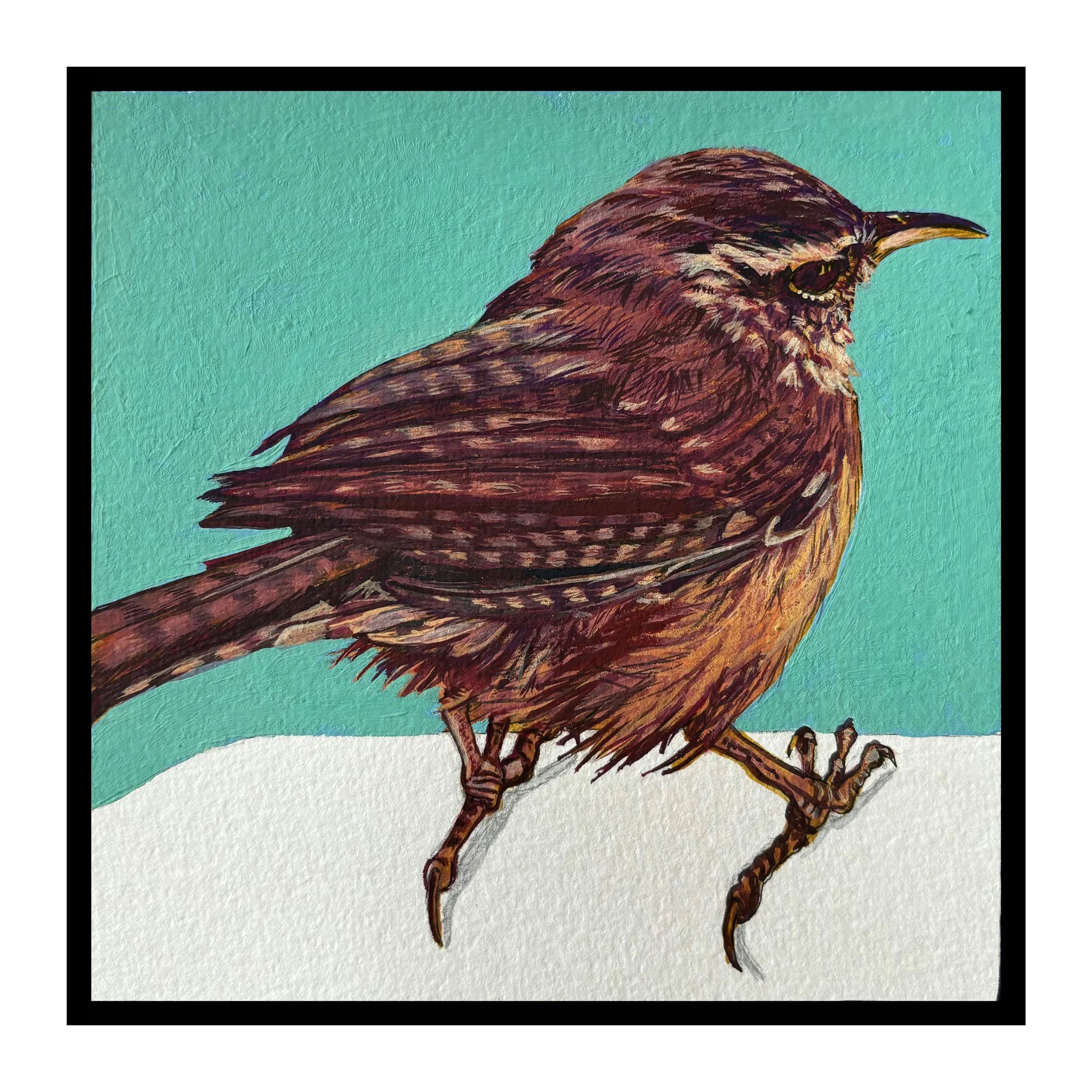 Paige Wallis  For the past few years, I’ve been greatly enjoying seeing our local birdlife up close and personal thanks to having a feeder with a built in camera.  I decided to take advantage of this ability to observe them in such detail to reinterp