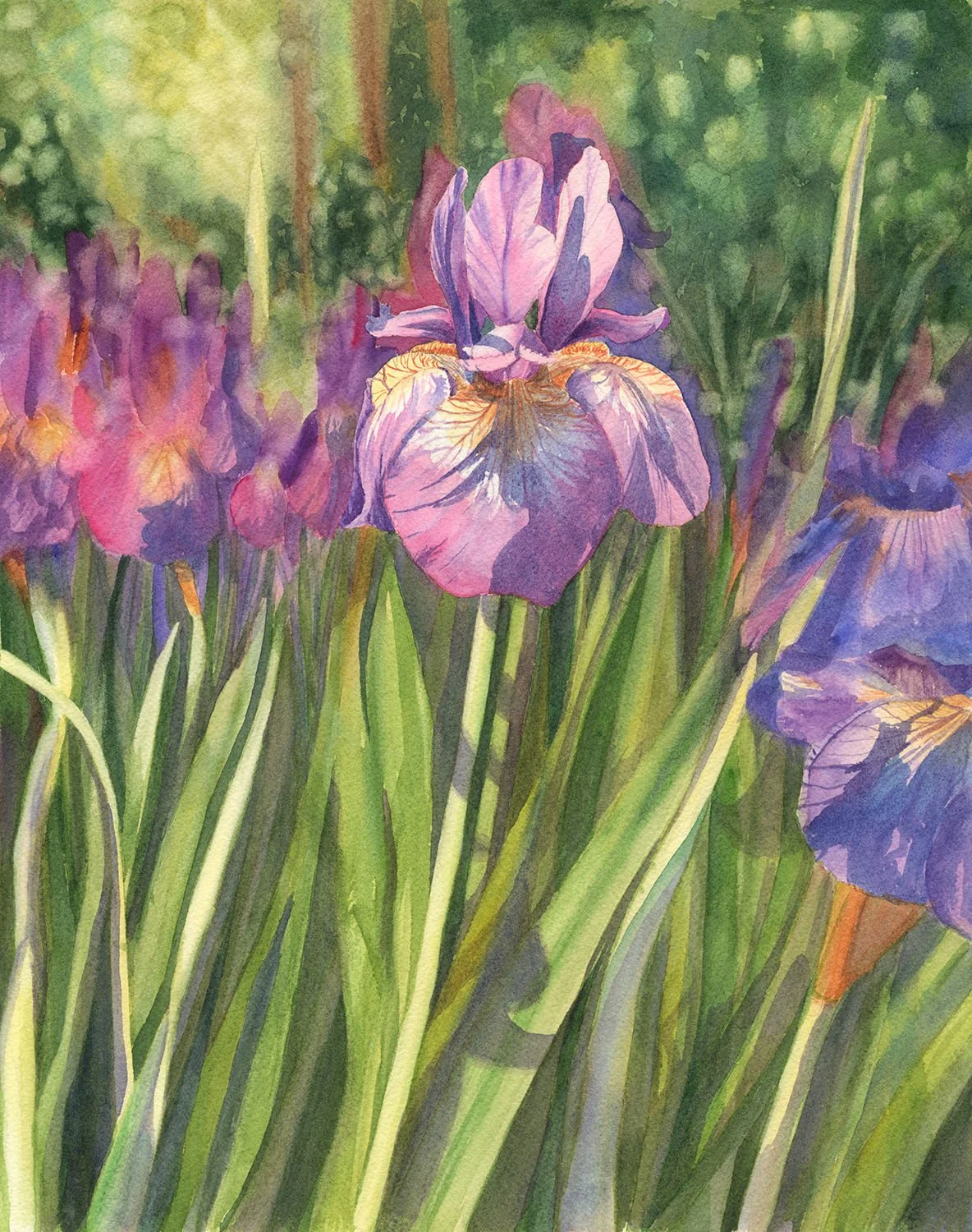 Emmanuelle Le Gal  Fine arts have always been an integral part of my life, and I now focus on watercolor for its immediacy and simplicity. My work explores the interplay of light and shadow in a realistic style that celebrates details, atmosphere, an