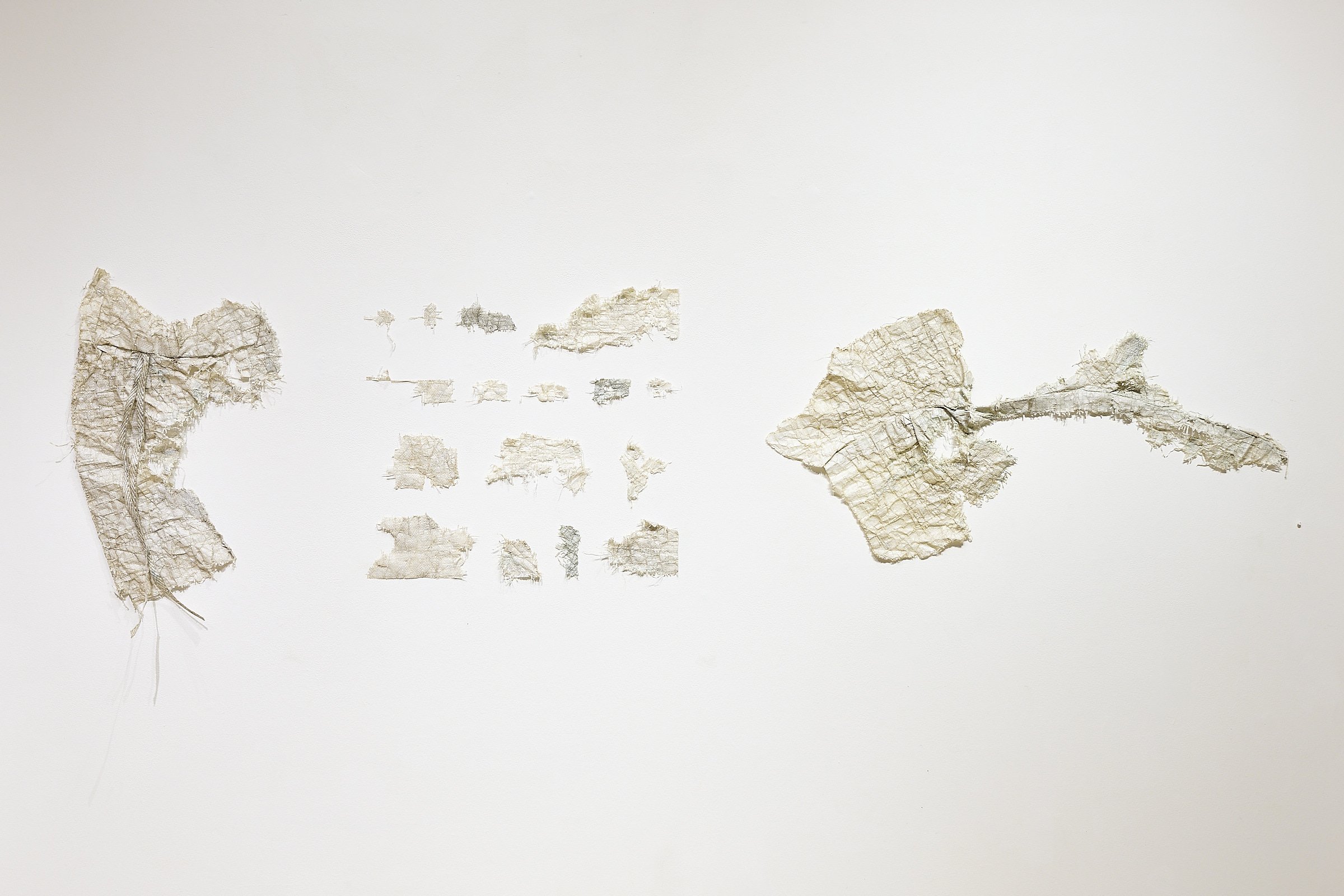 Seadrift Fragments