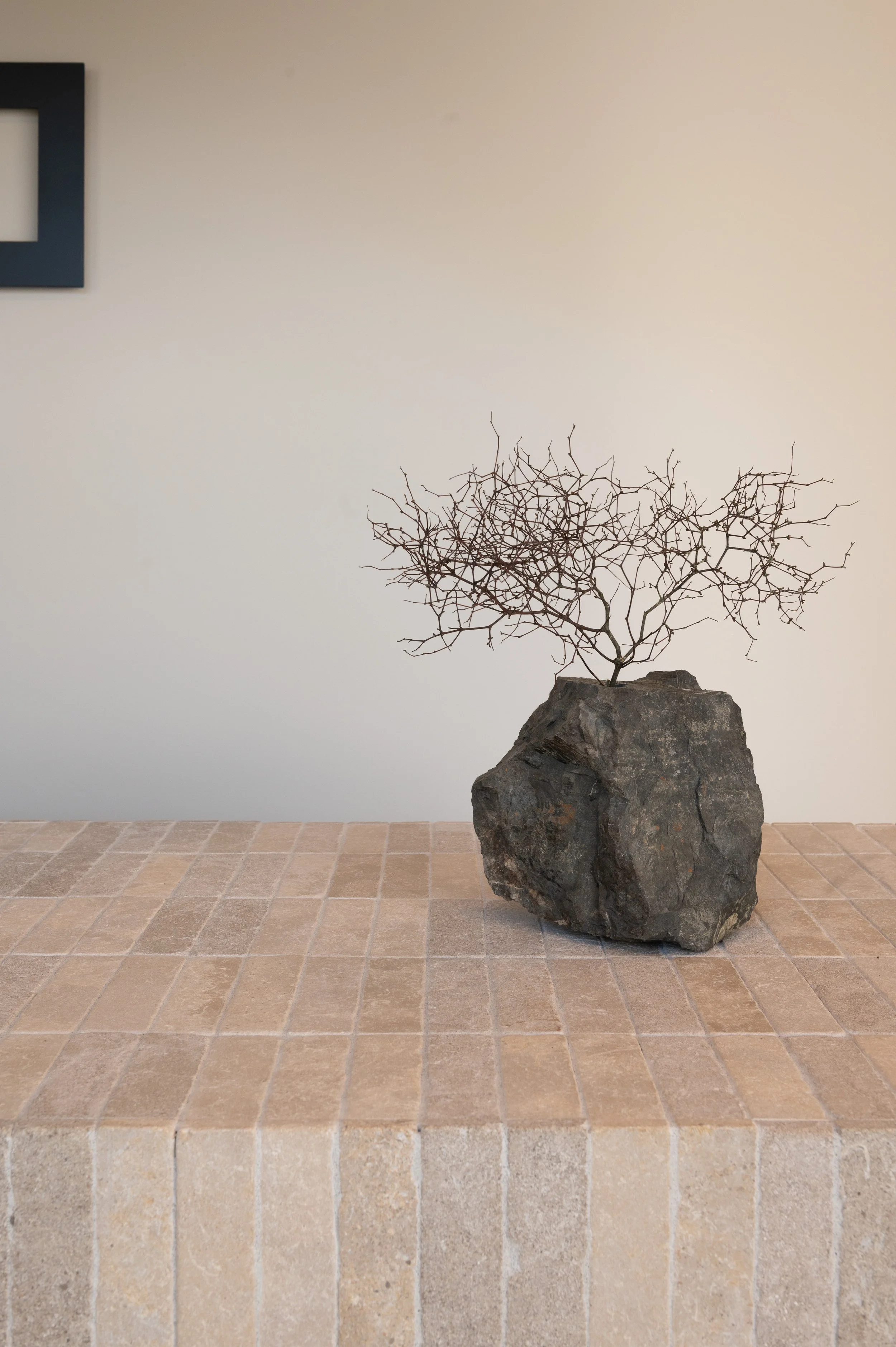 FinalImage--011- (1).jpg