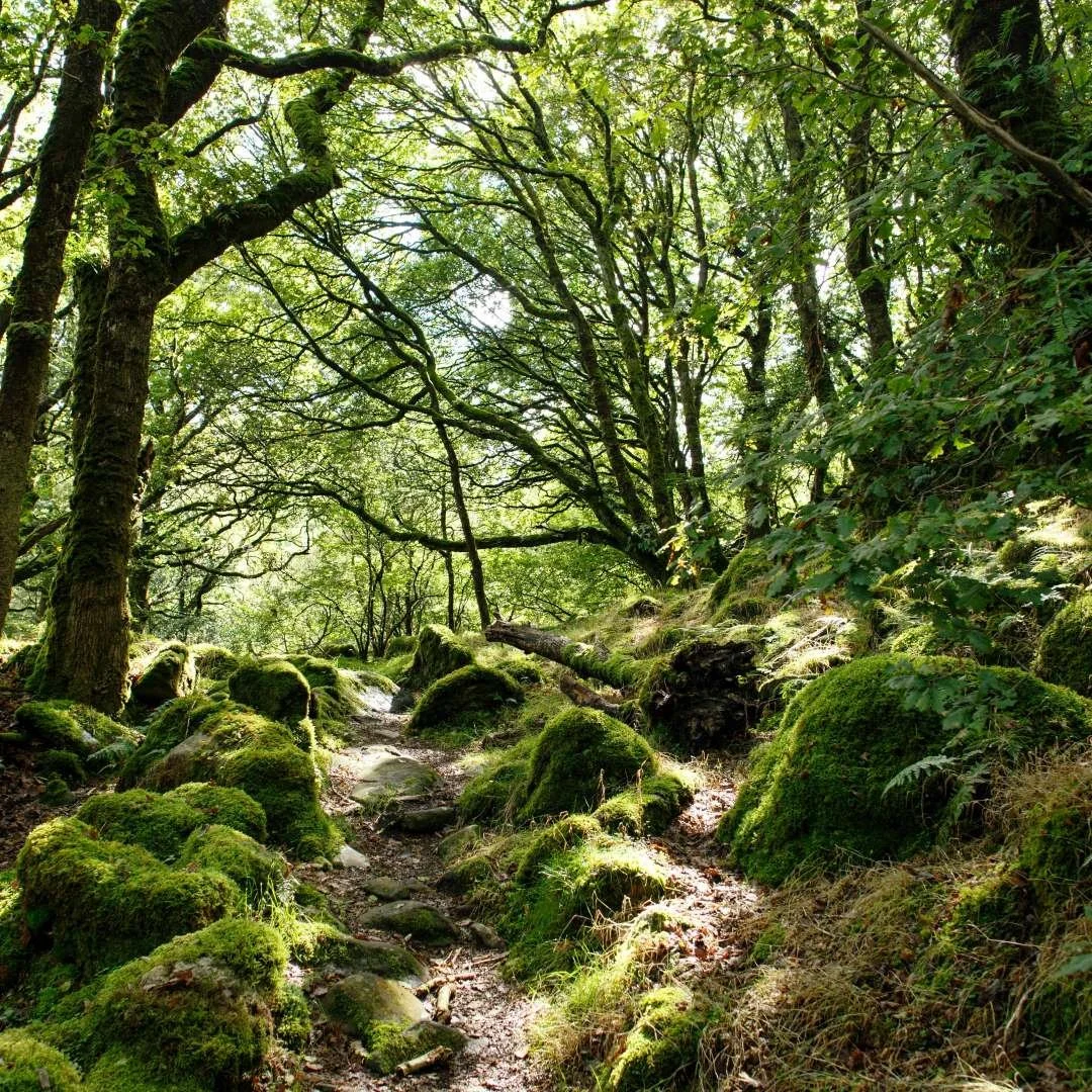 Dark Angels Note 129