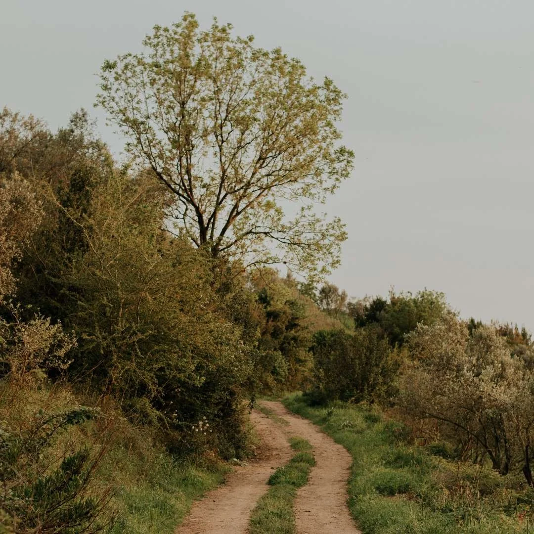 Dark Angels Note 131