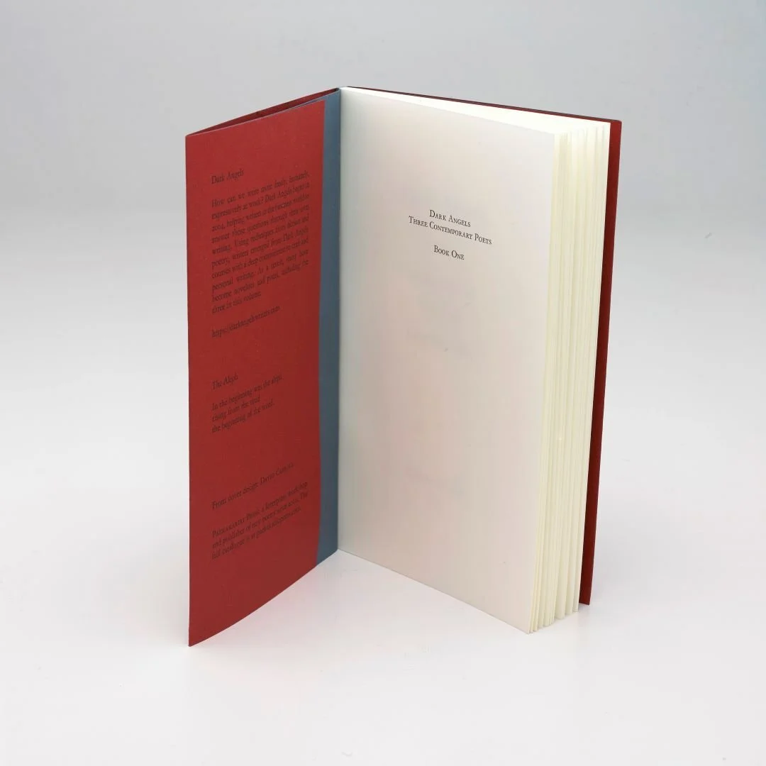 Dark Angels Note 136: Book One Special Edition