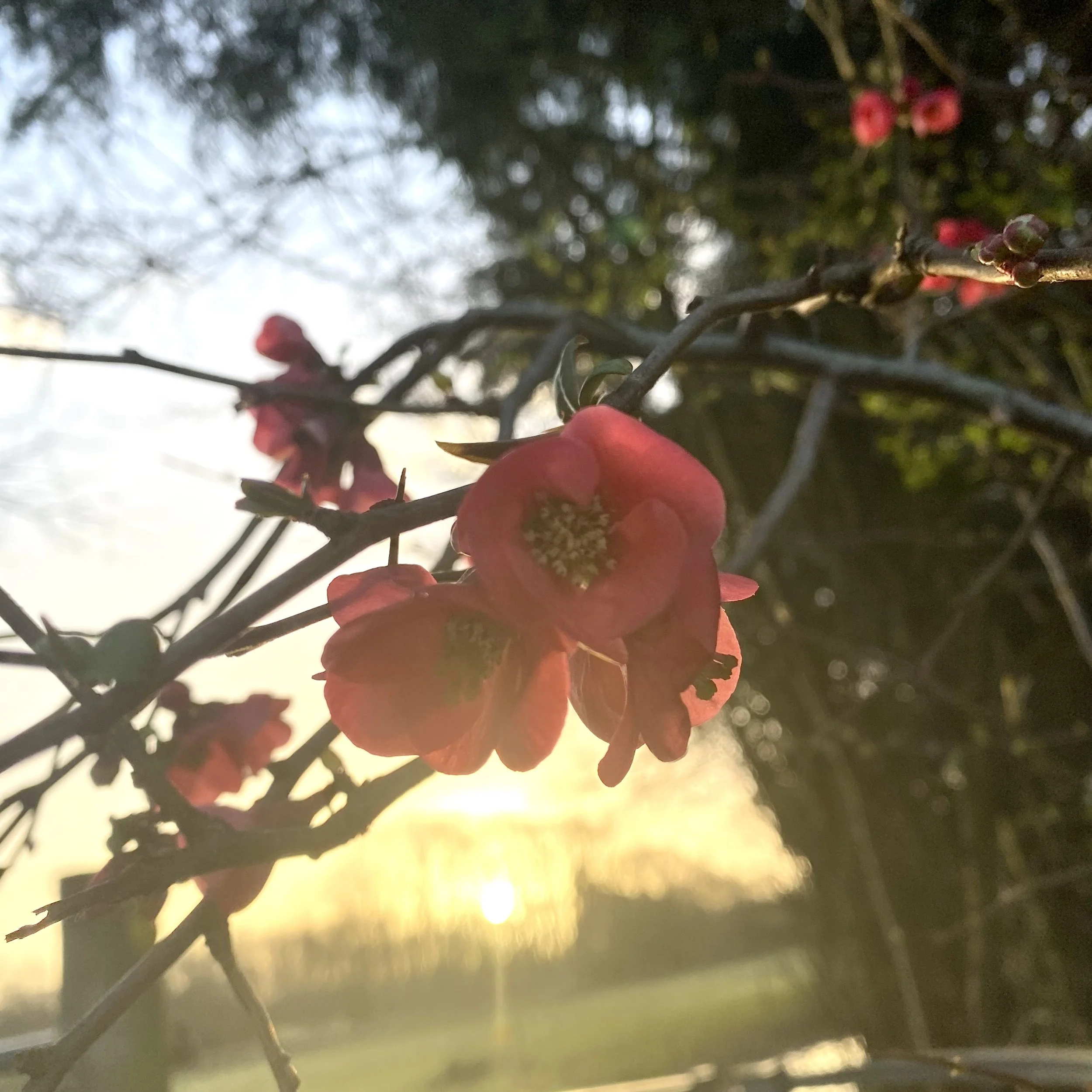 Dark Angels Note 140