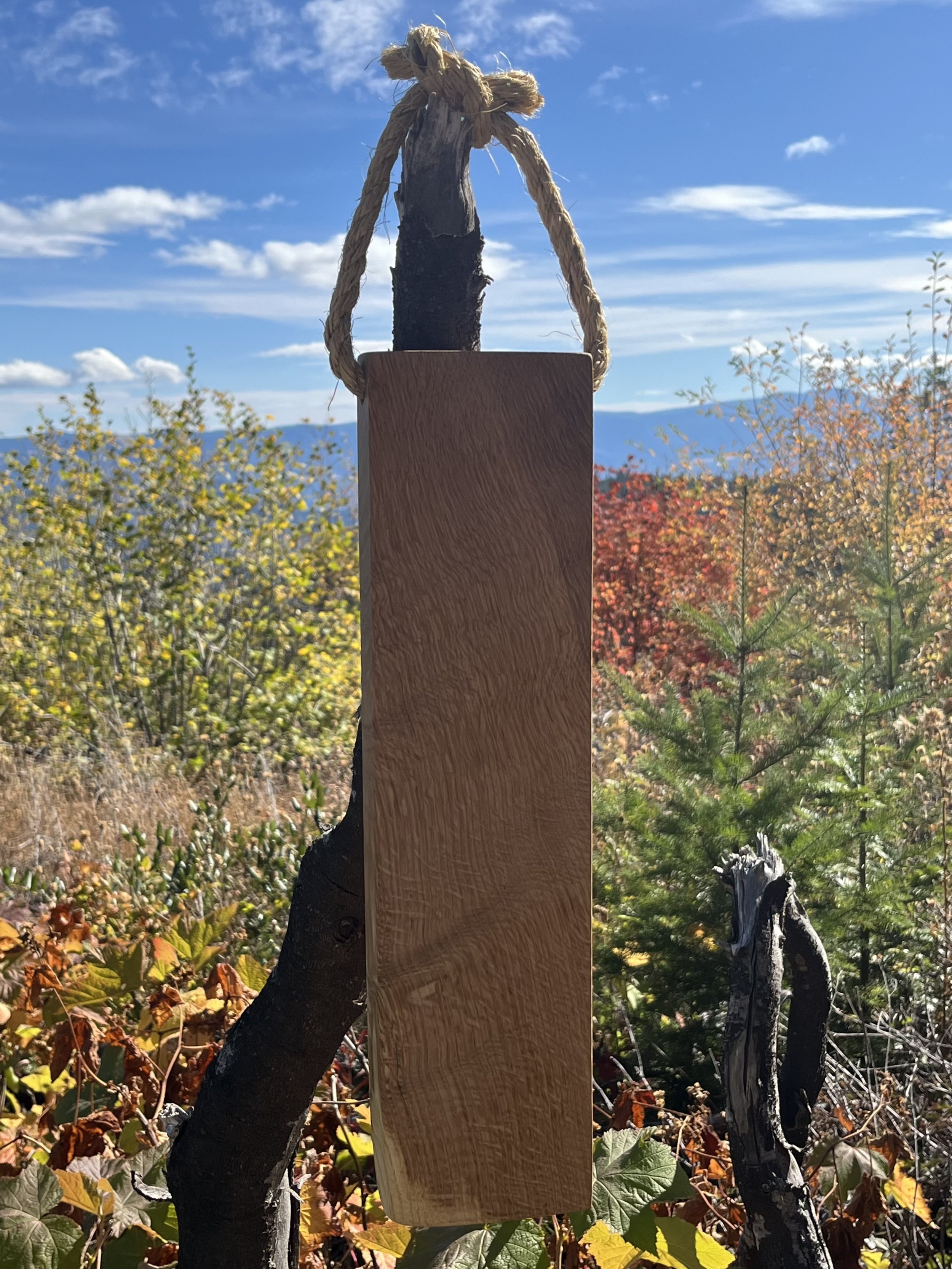 Medium 11