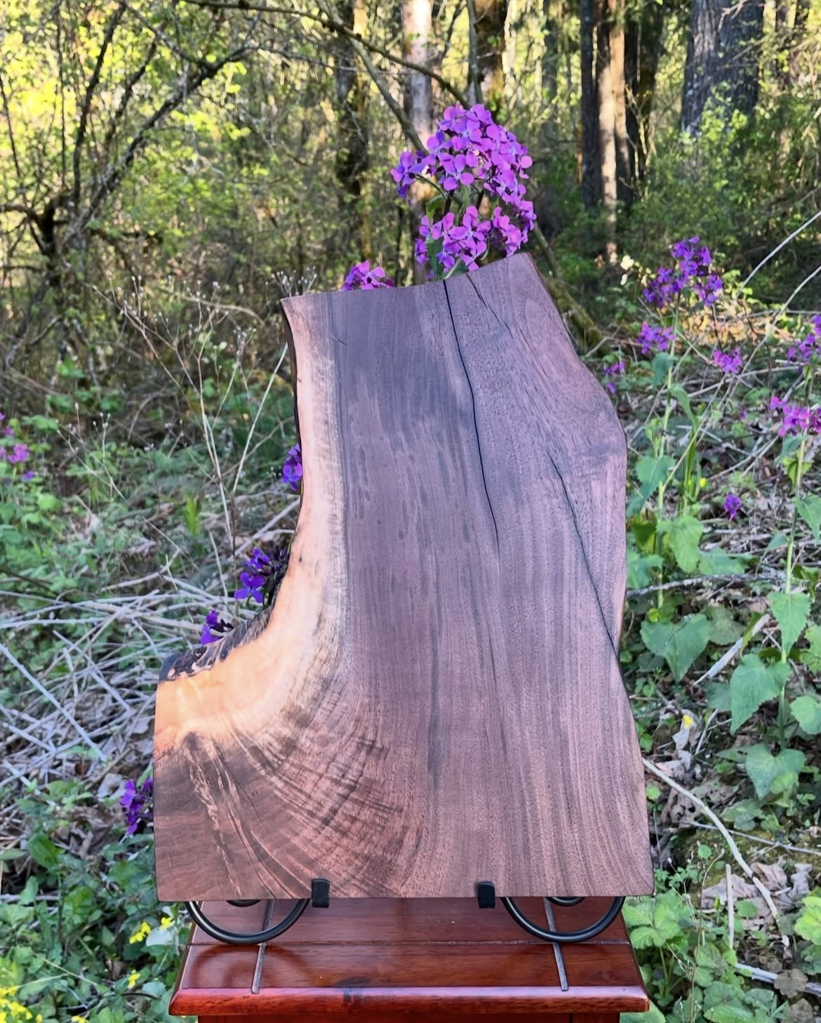 Medium 23