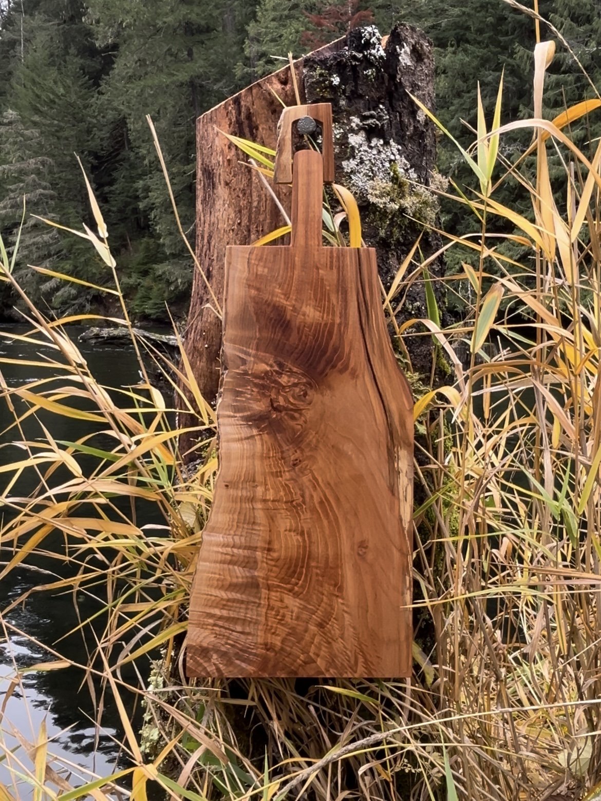 Medium 24