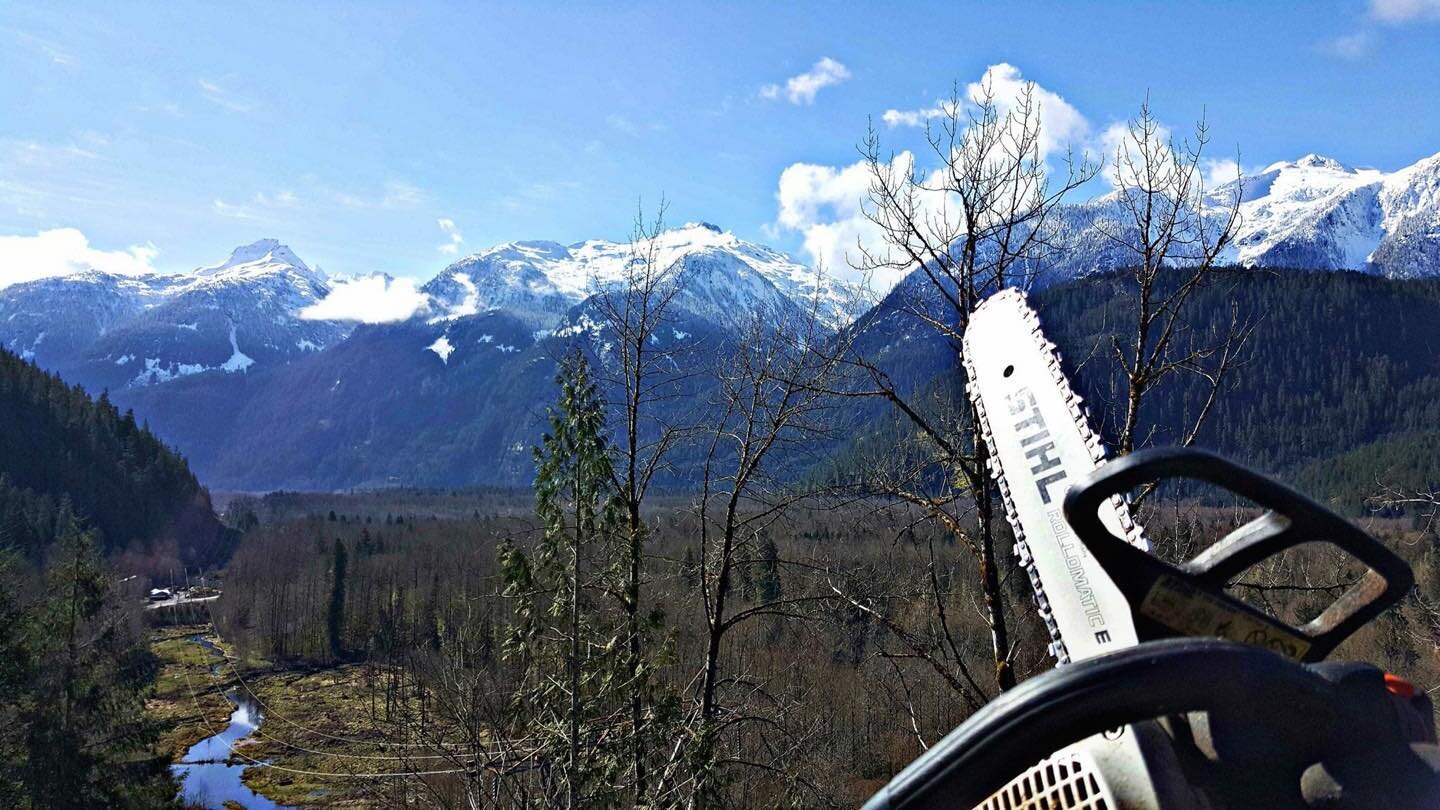 Beauty day to be above it all up in a tree. 
#whistlerstreeservice
#squamishtreeservice
#westvantreeservice
#seatoskytreeservice
#climbingarborists
#viewsfordays
#officeviews
#nobaddays
@pfannercanada
@stihlcanada