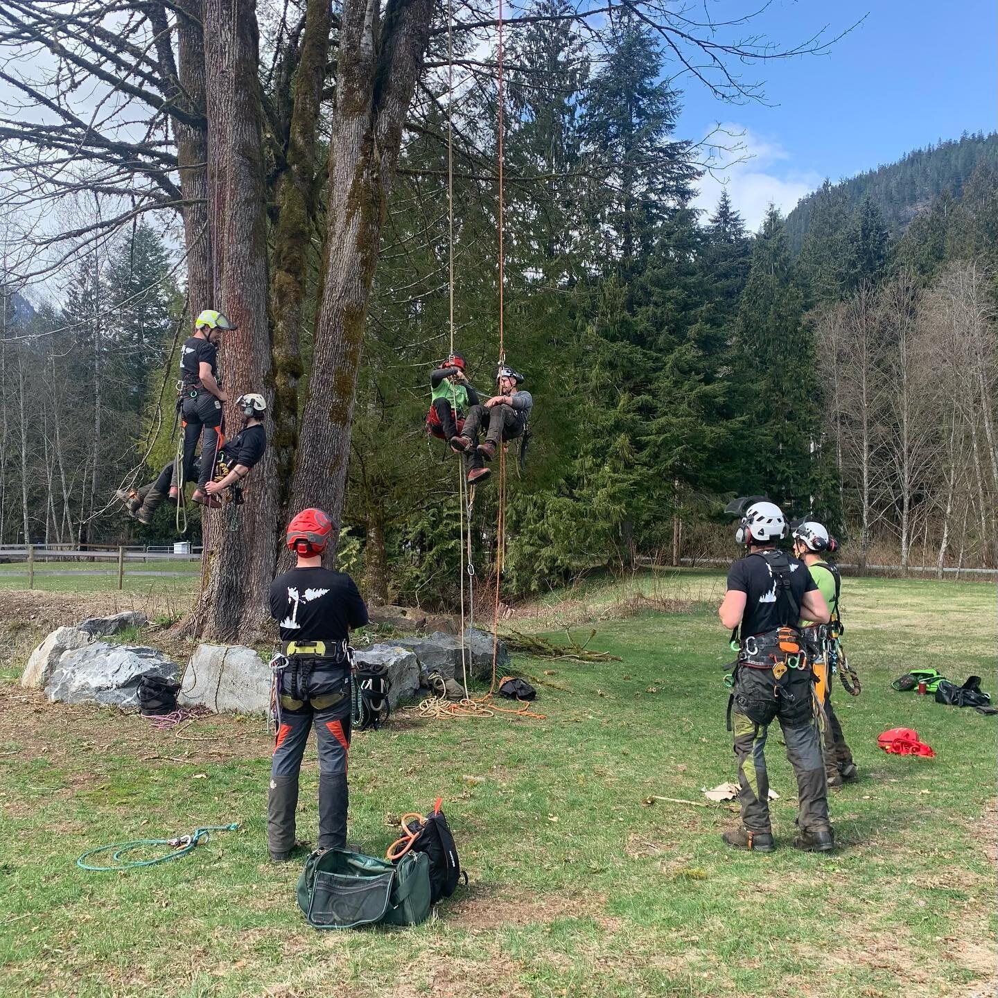 Beautiful sunny spring day to practice aerial rescue and team building. Great job @ed_carrigan  running the team through the paces.