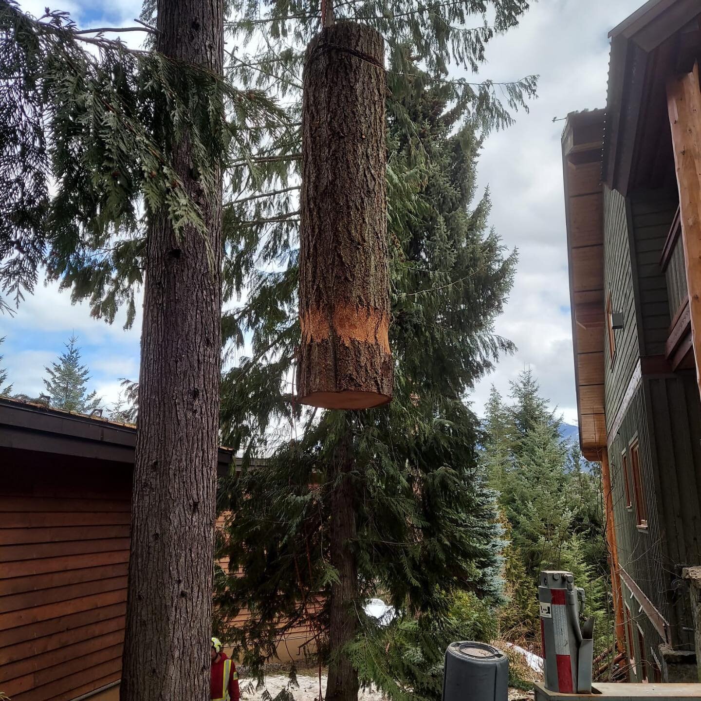 When the neighborhood firewood pirate ask&rsquo;s for some of the wood. 
#whistlerstreeservice
#squamishtreeservice
#westvantreeservice
#seatoskytreeservice
#climbingarborists
#viewsfordays
#officeviews
#nobaddays
#overloaded 🤔  #ifitfitsitships