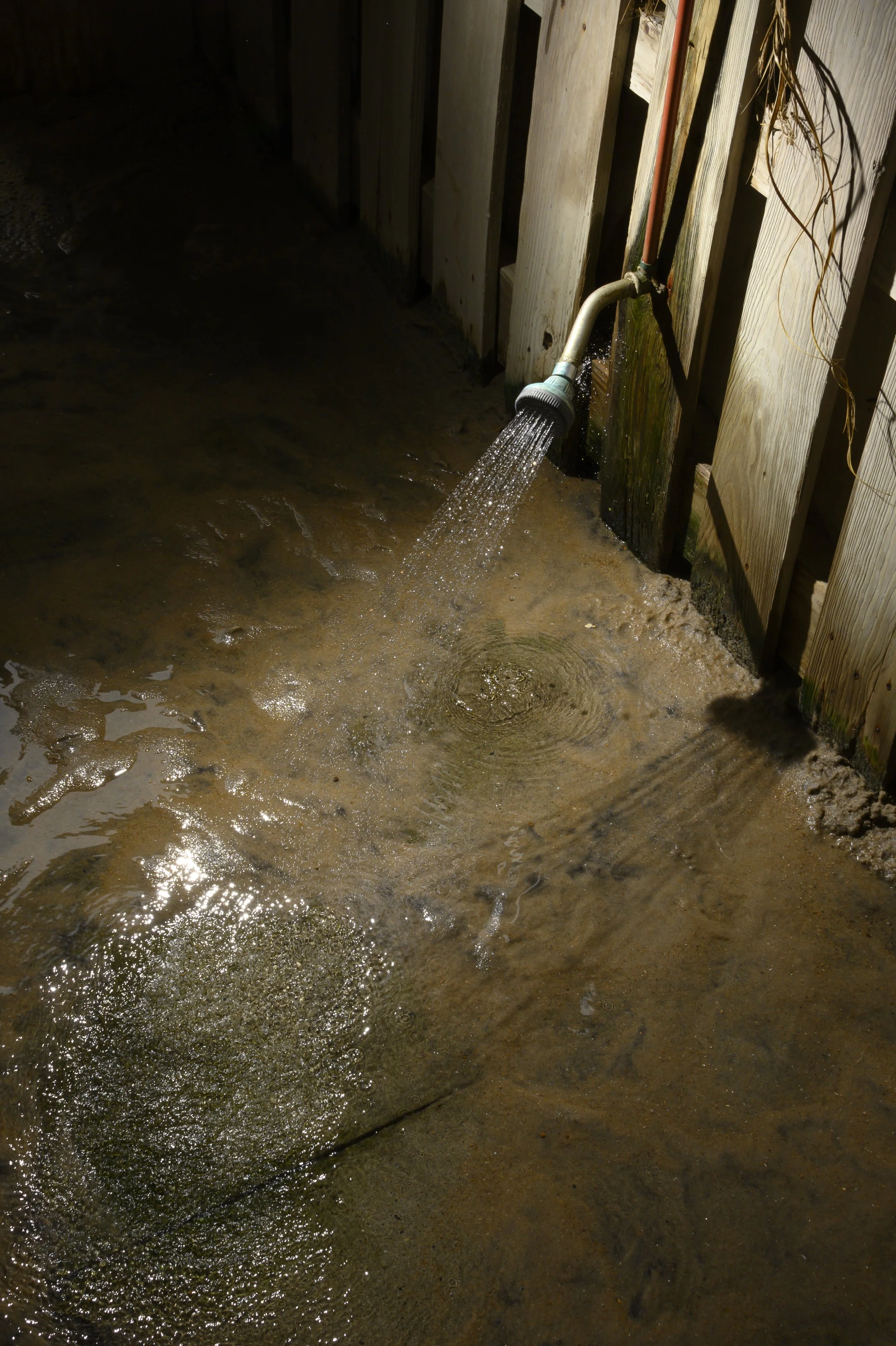 KevinGutoskey_Shower_01.JPG