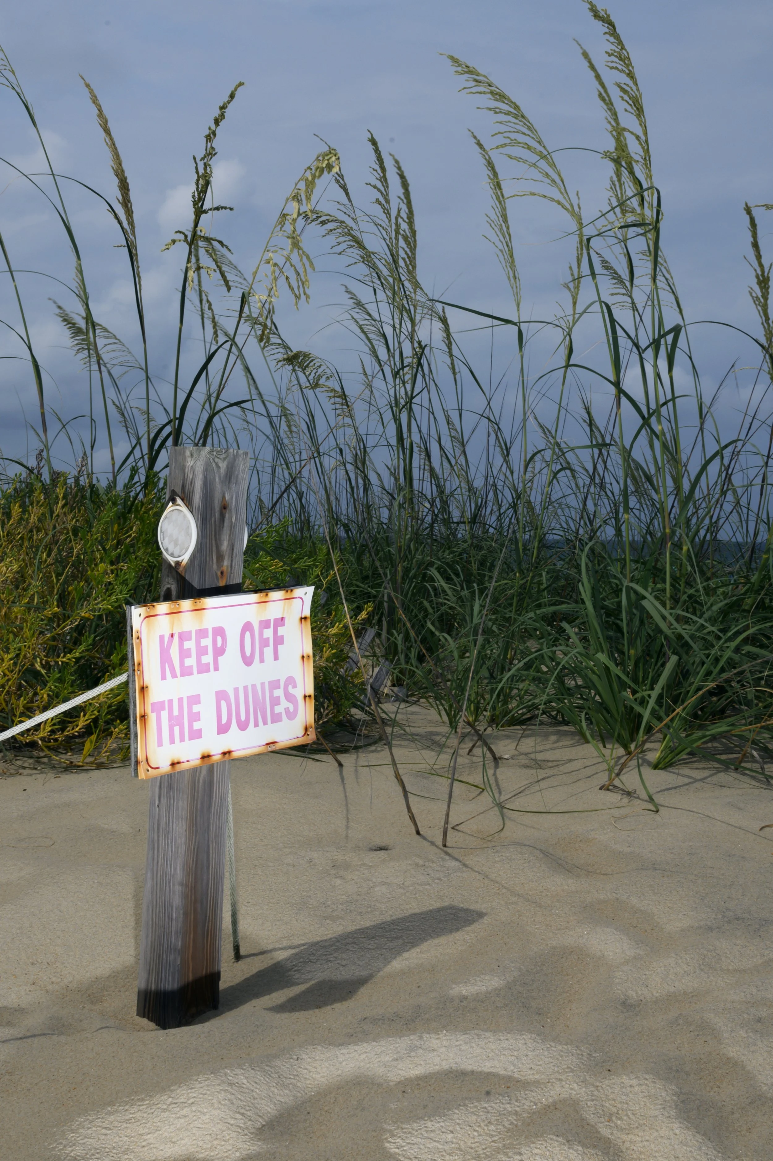 KevinGutoskey_KeepOffTheDunes.jpg
