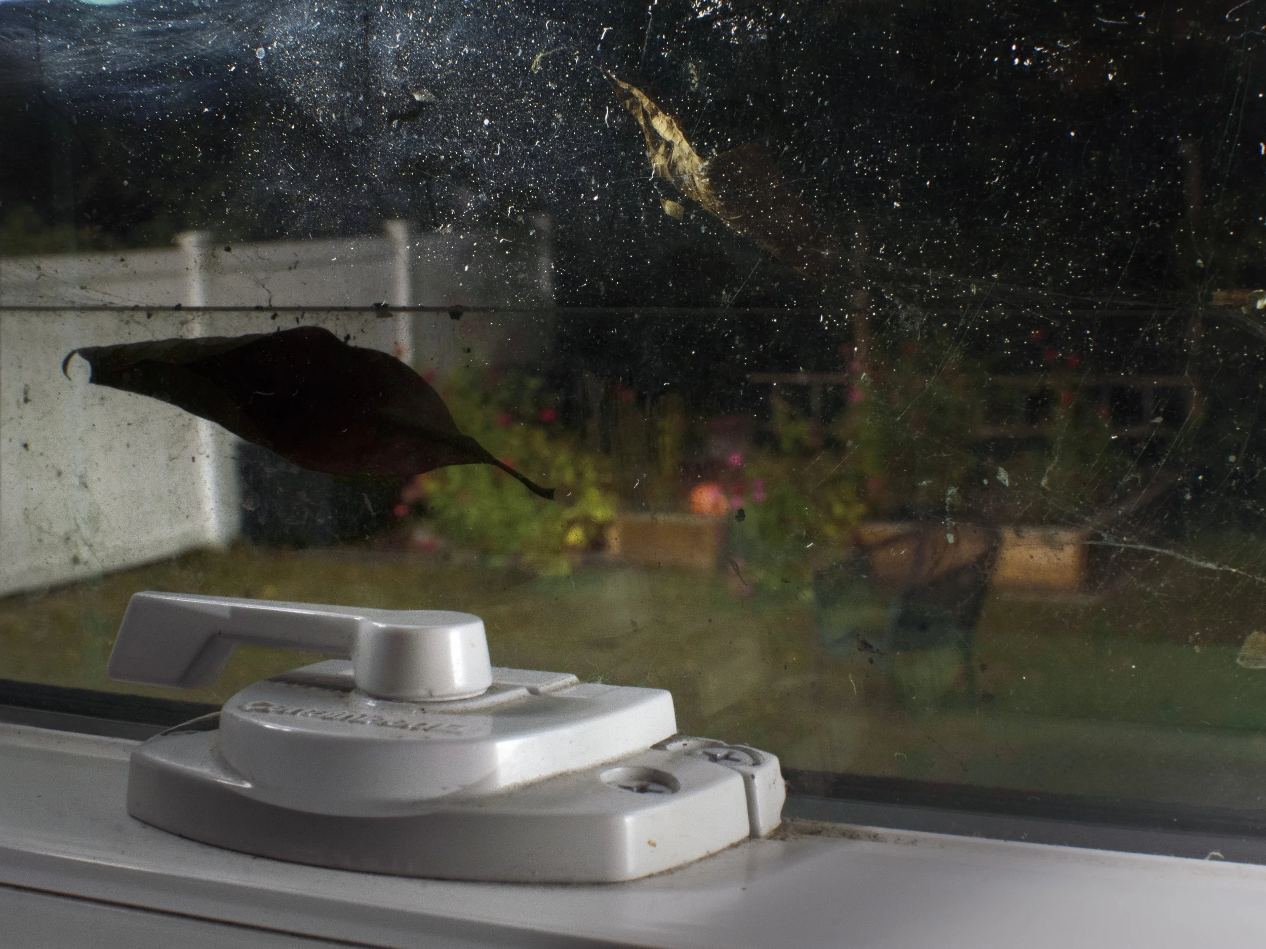 KevinGutoskey_KitchenWindow.jpg