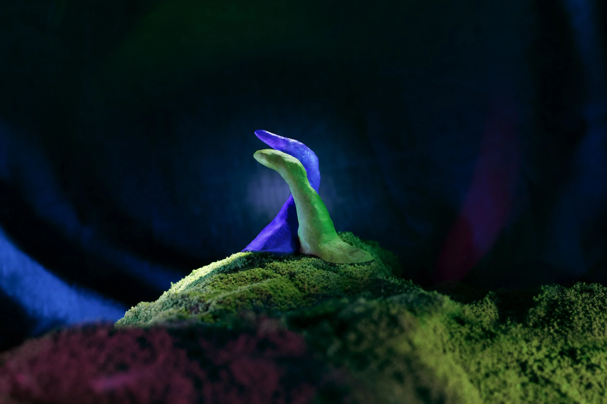 The Embrace, 2023