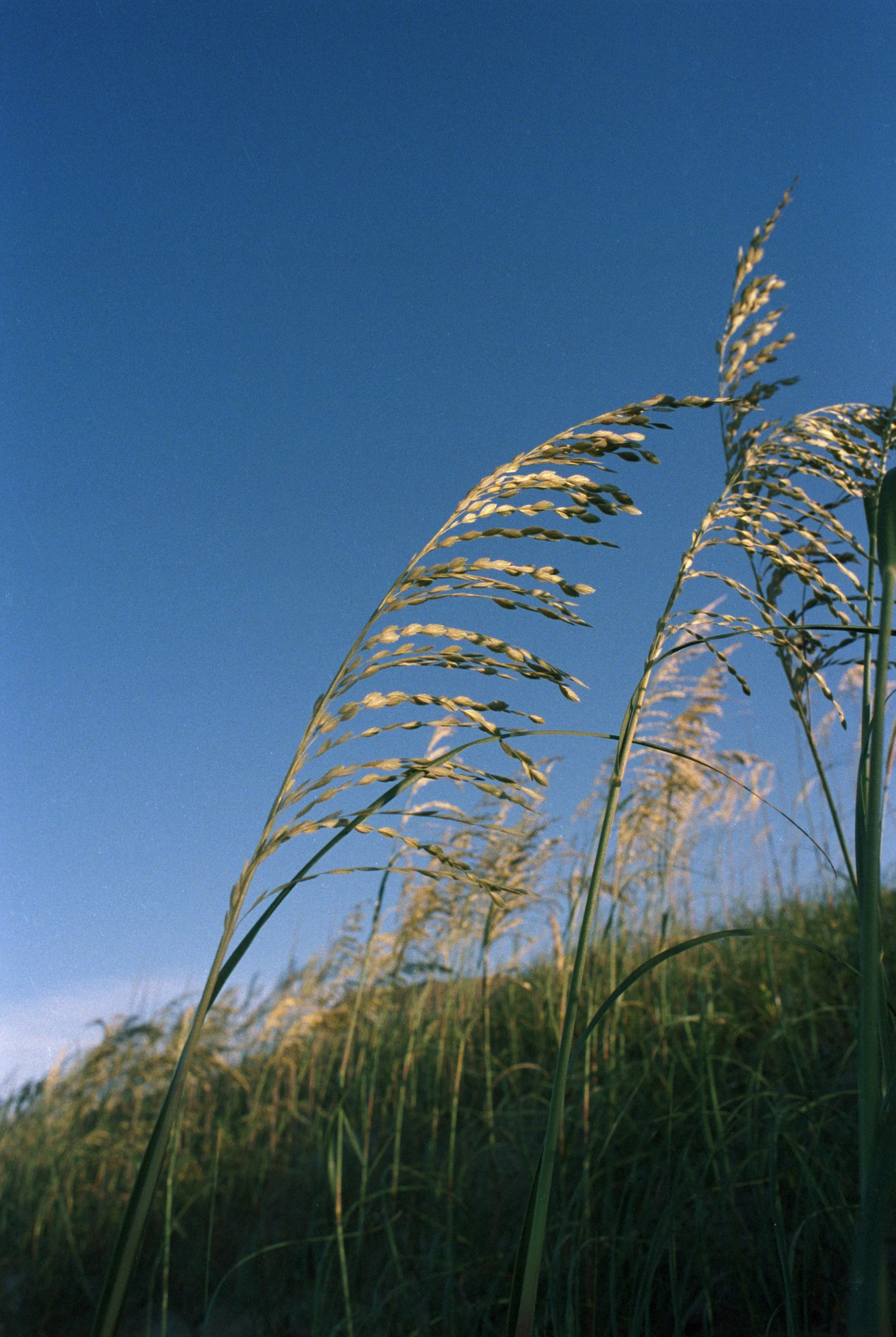 KevinGutoskey_260602_33.jpg