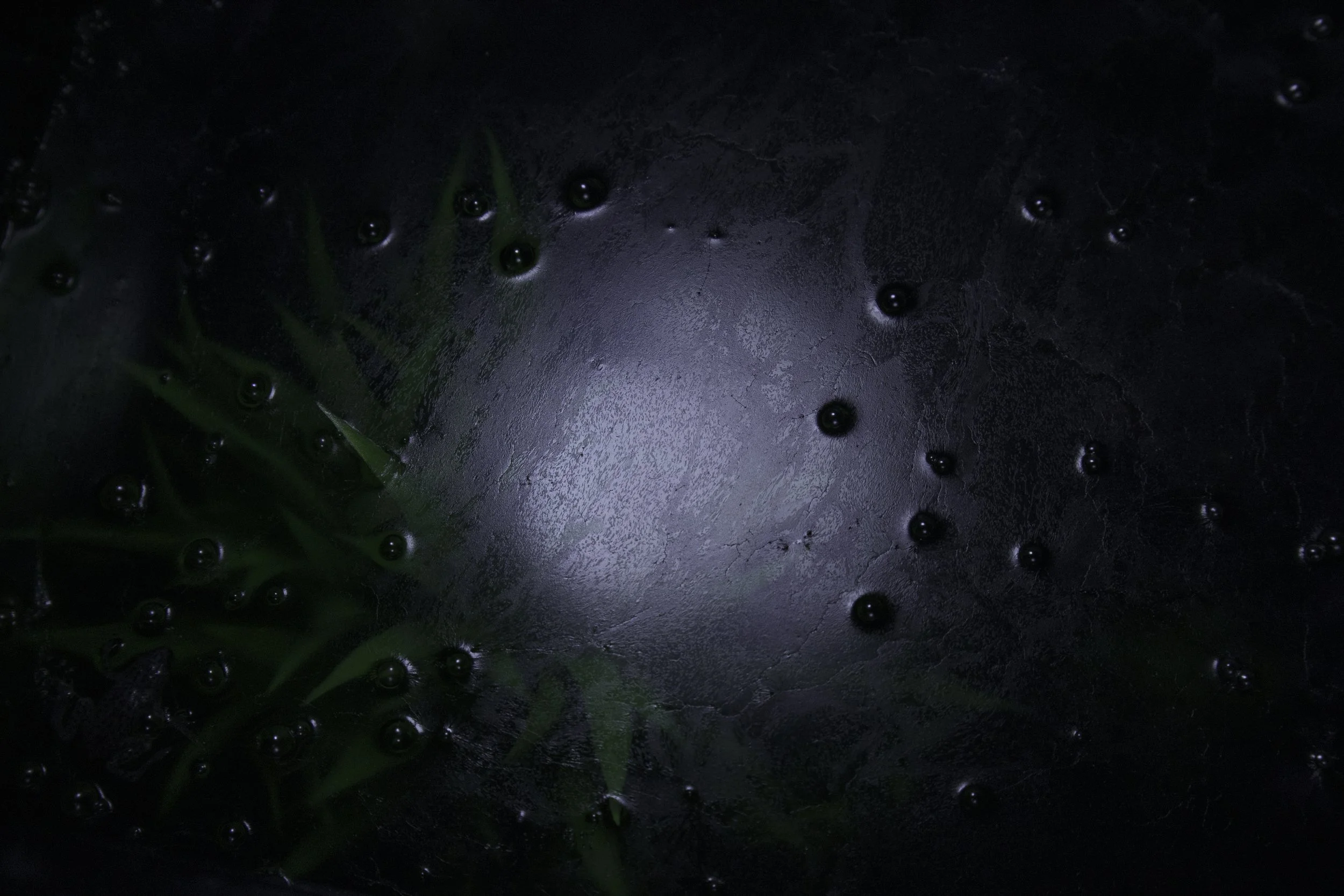 Portal, 2025