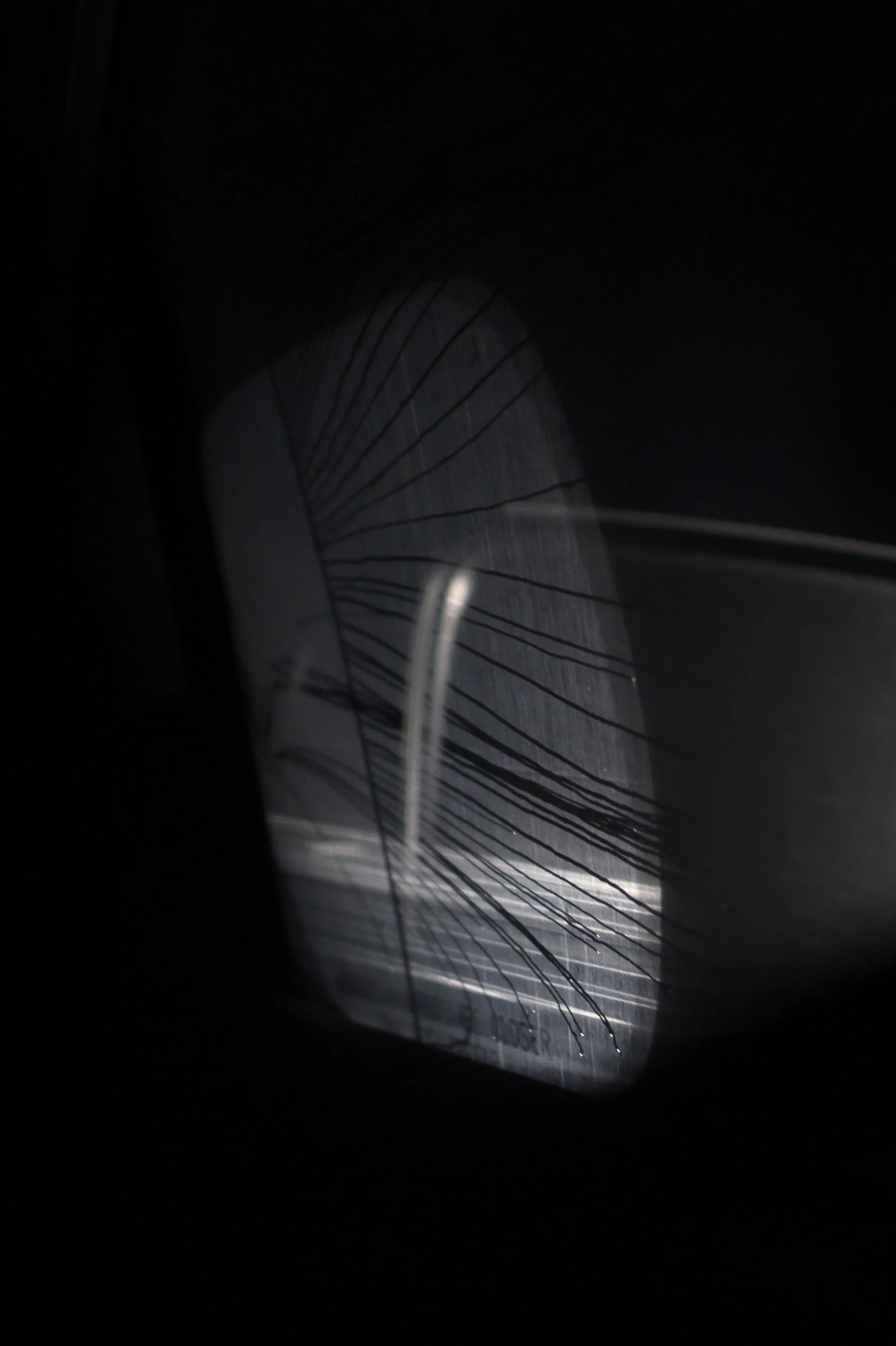 KevinGutoskey_CarWindow_01.jpg