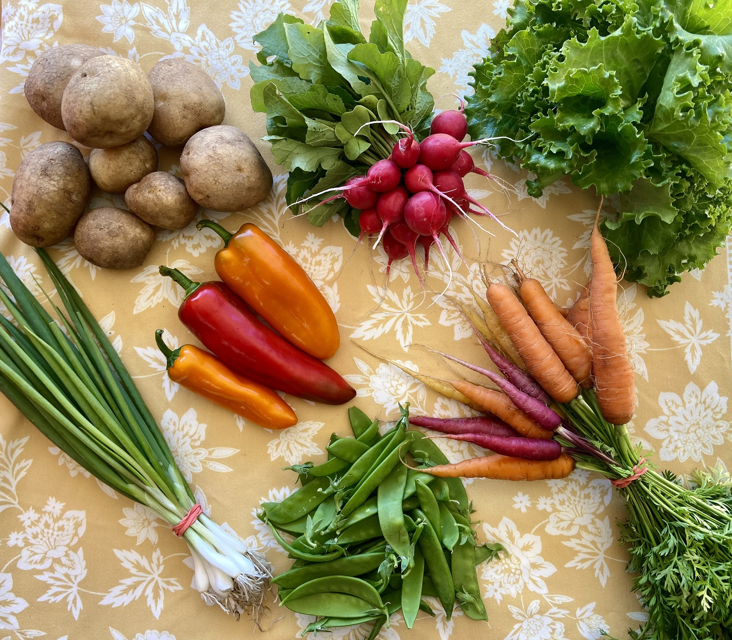 Late season CSA box