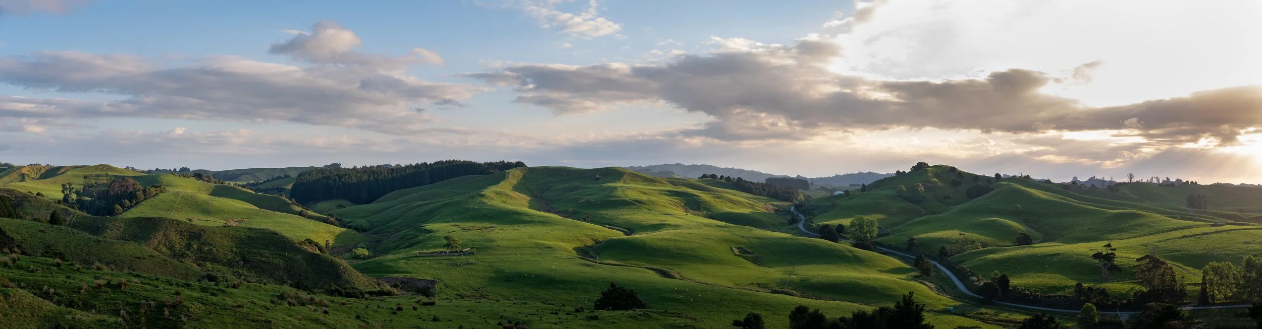 Somewhere outside of Auckland, New Zealand
