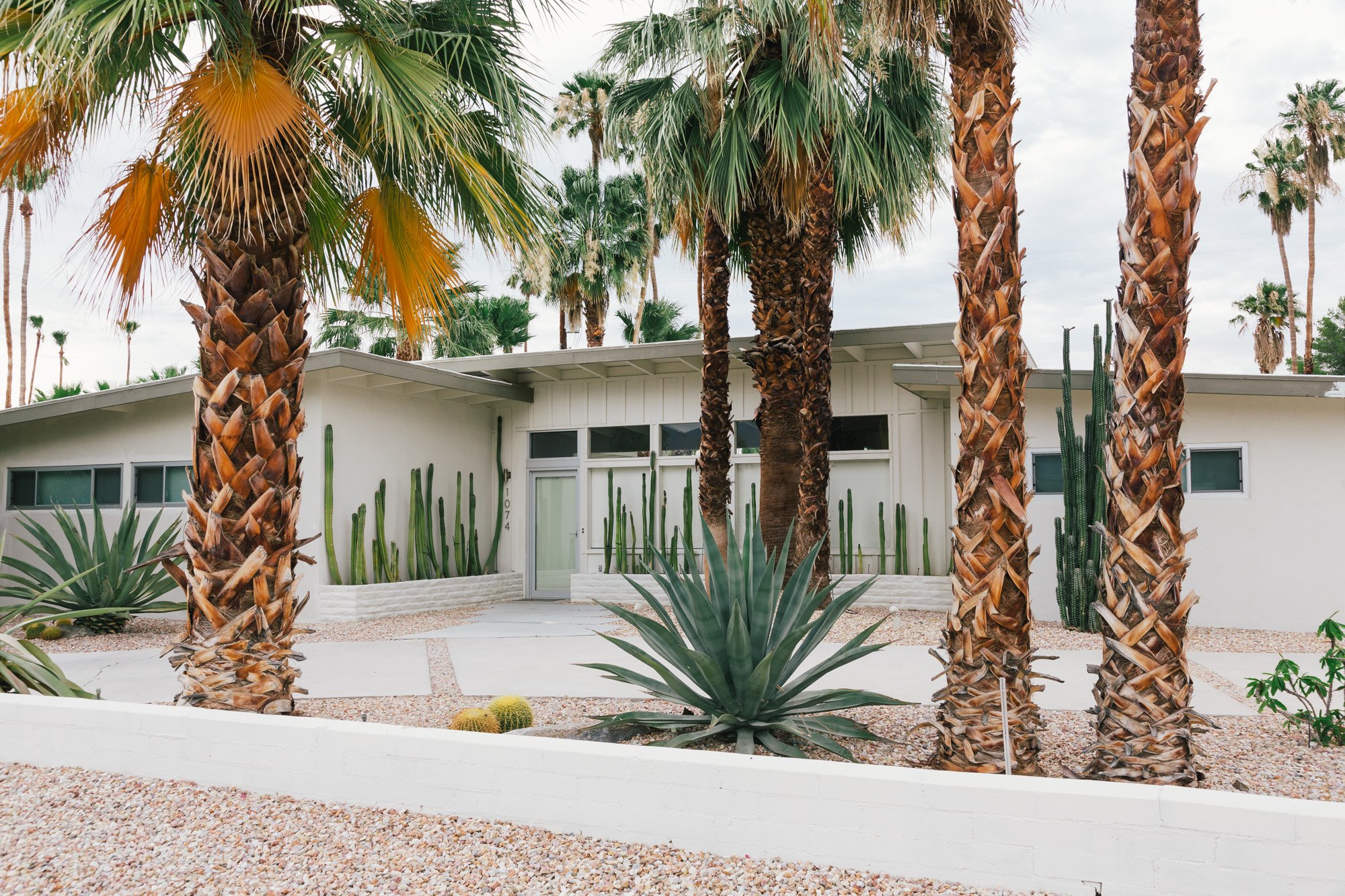 SP_Print_Mid Century Modern.jpg
