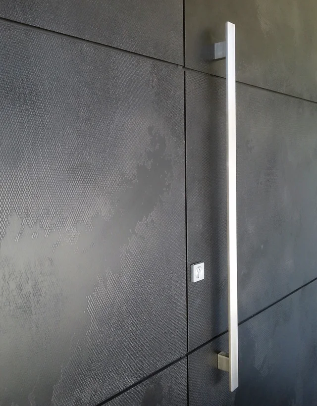 black viper door.jpg