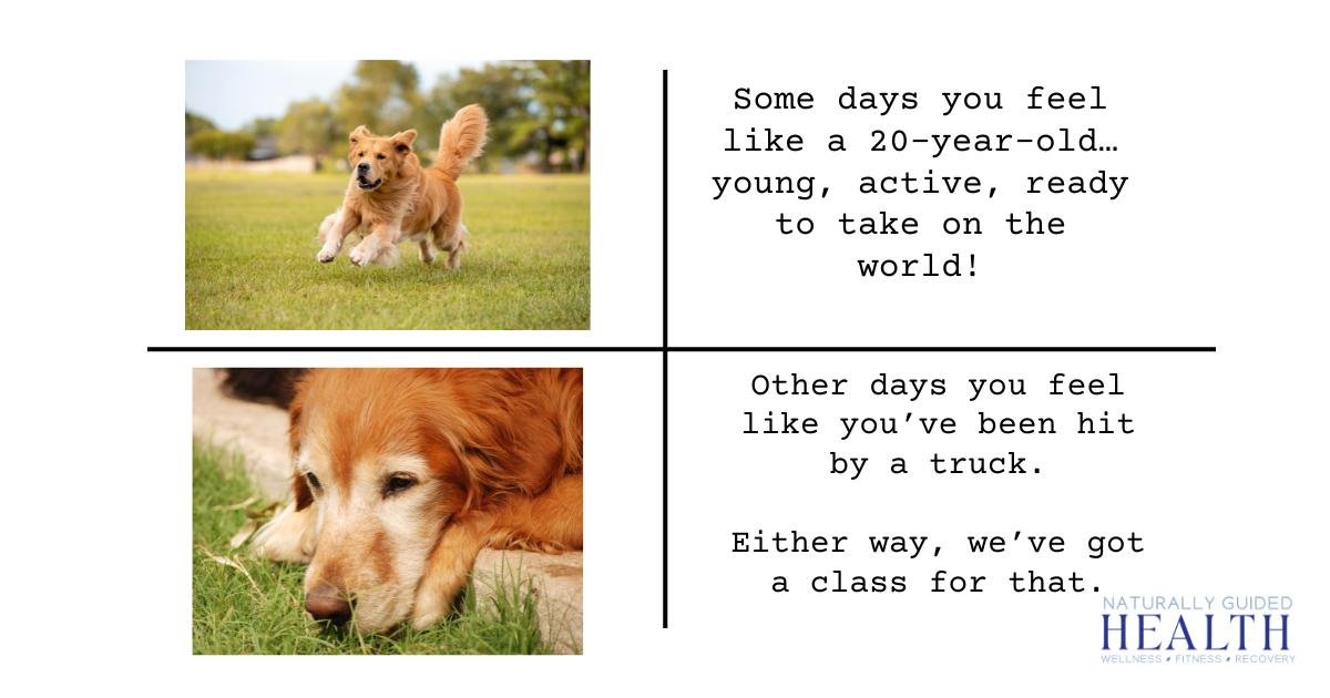 Some days you feel like a 20 year old...young, active, ready to take on the world! Other days you feel like you've been hit by a truck. Either way, we've got a class for that! You can check out everything we have to offer on our website! naturallygui