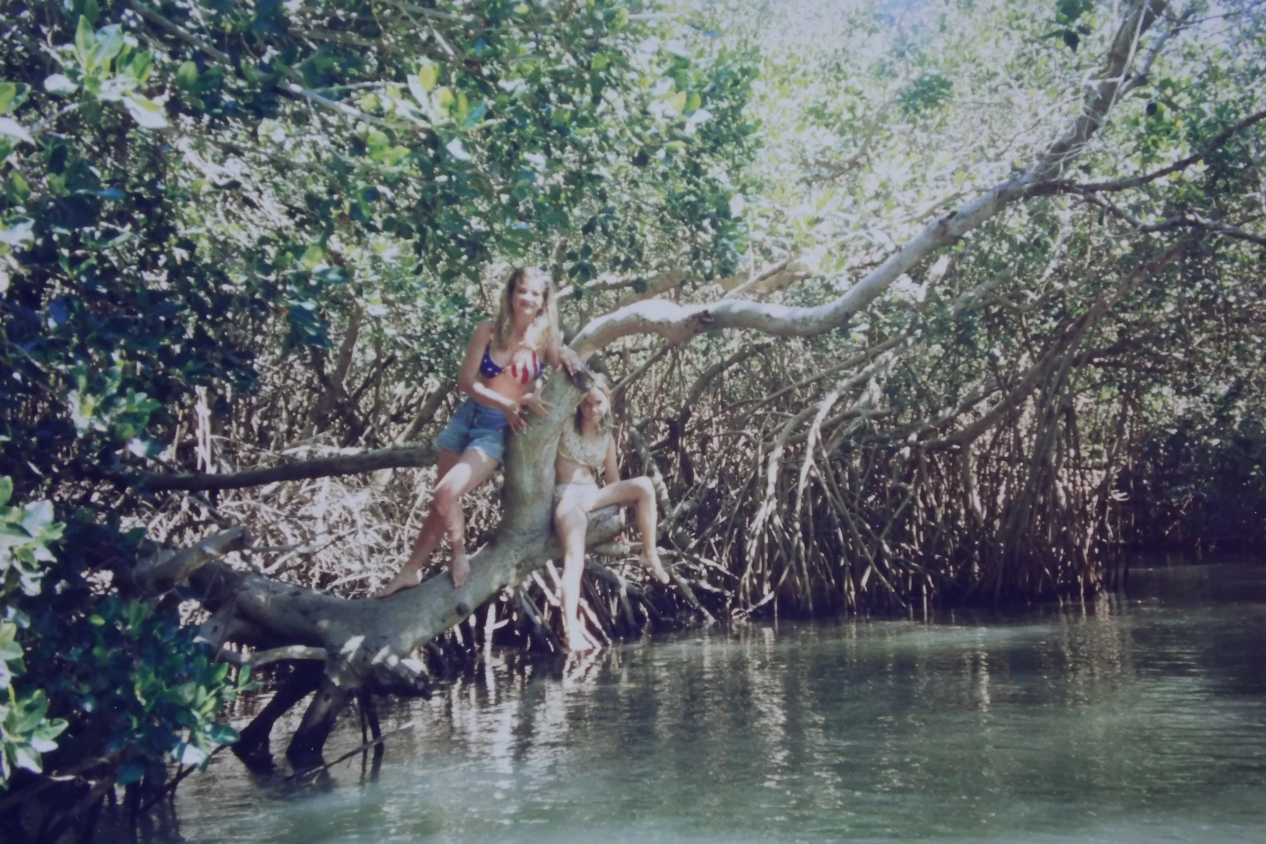 2.25.97 Danielle and Sam in a tree in the estuary.JPG