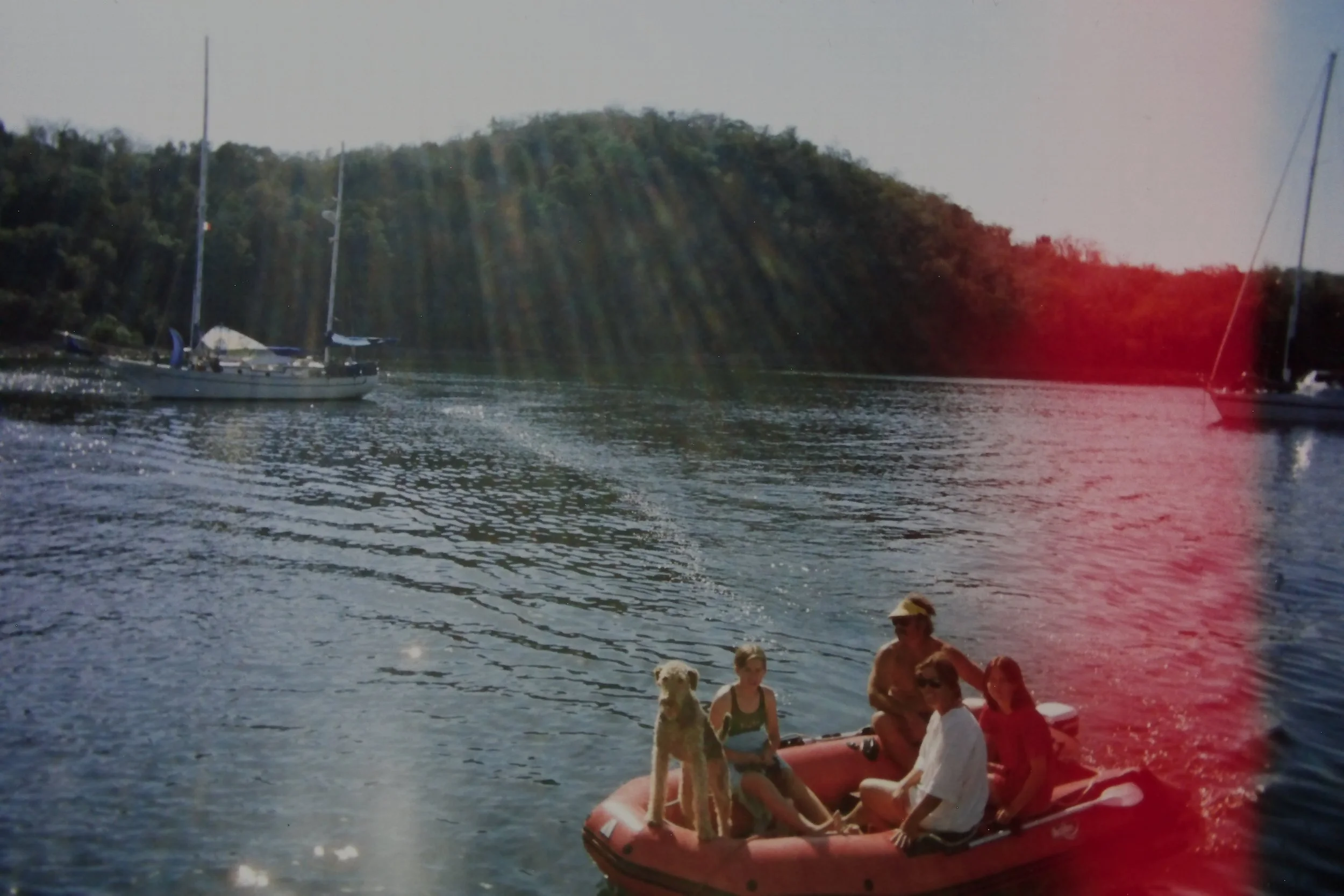 IMAG0045.JPG