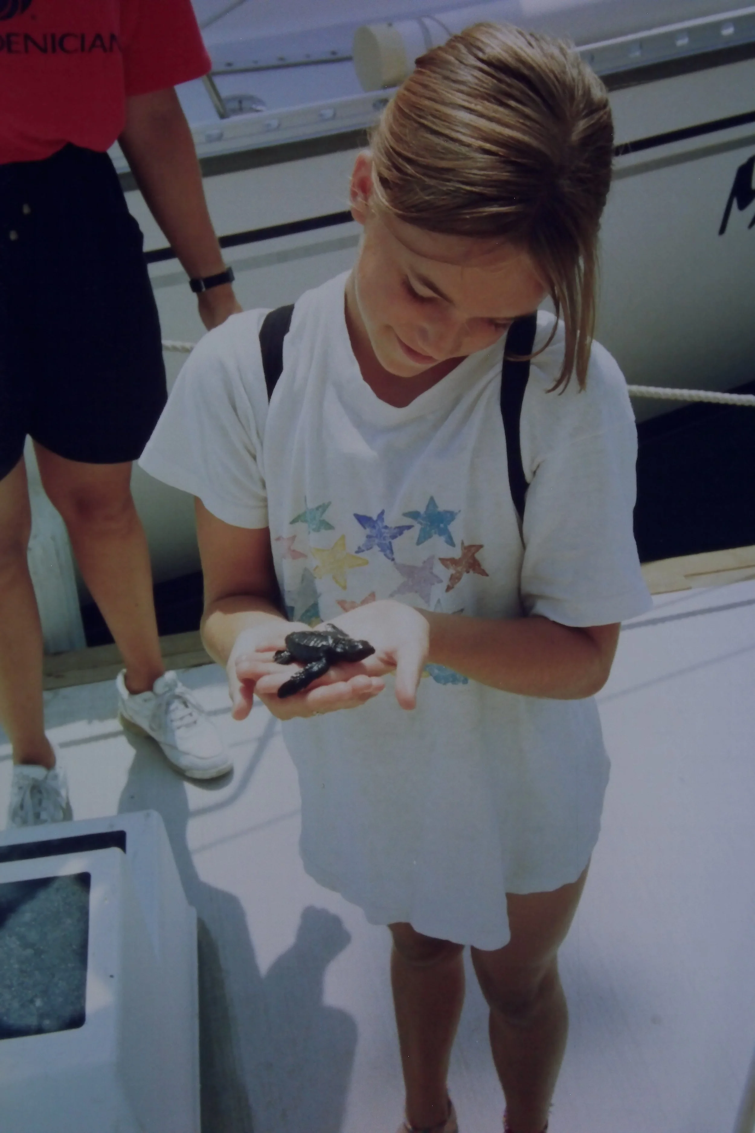 2.97 I found a baby turtle in the marina.JPG