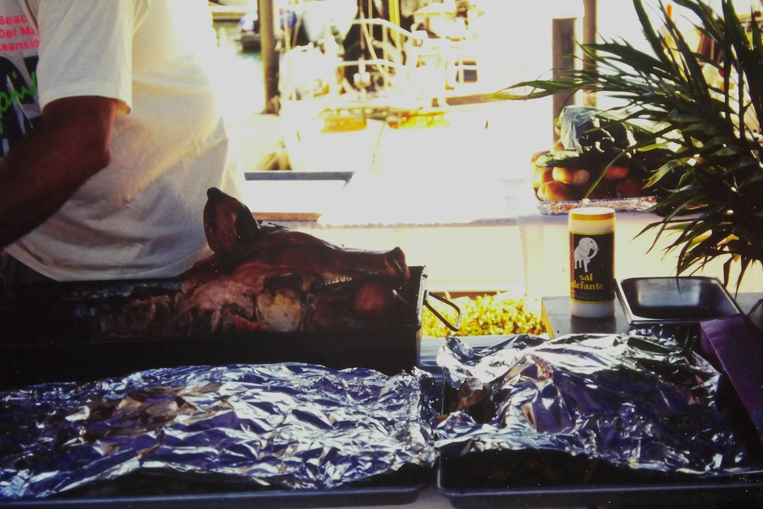 3.17.98 St Pattys Pig w Apple.JPG