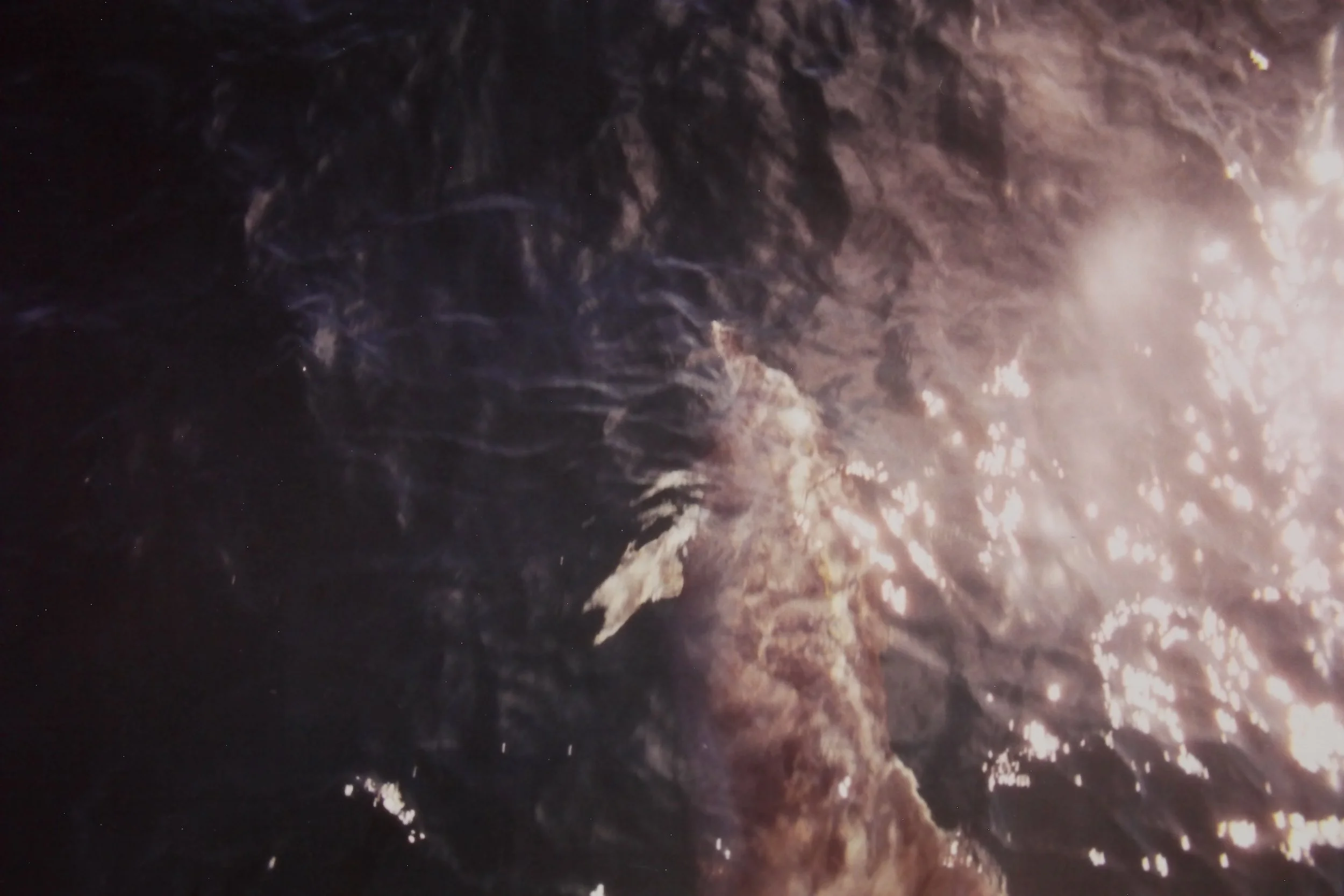 98 Dolphins, Sea of Cortez.JPG