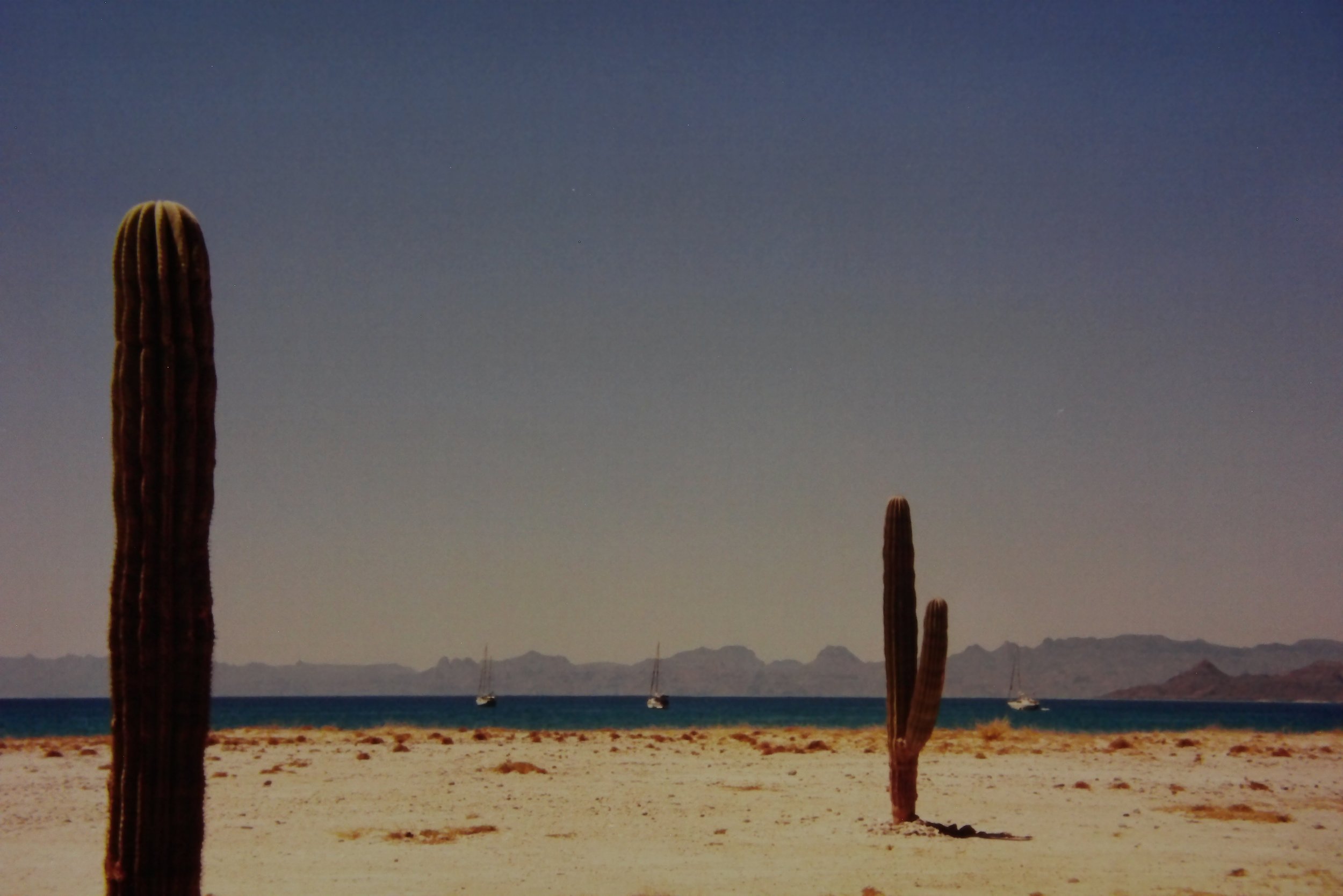 4.98 Isla Carmen anchorage, WRS, Christina, Night Hawk, Jayda.JPG