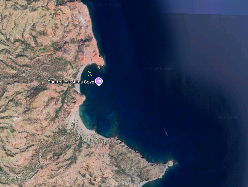 4.13.98 Screenshot 2026-03-01 093334.png