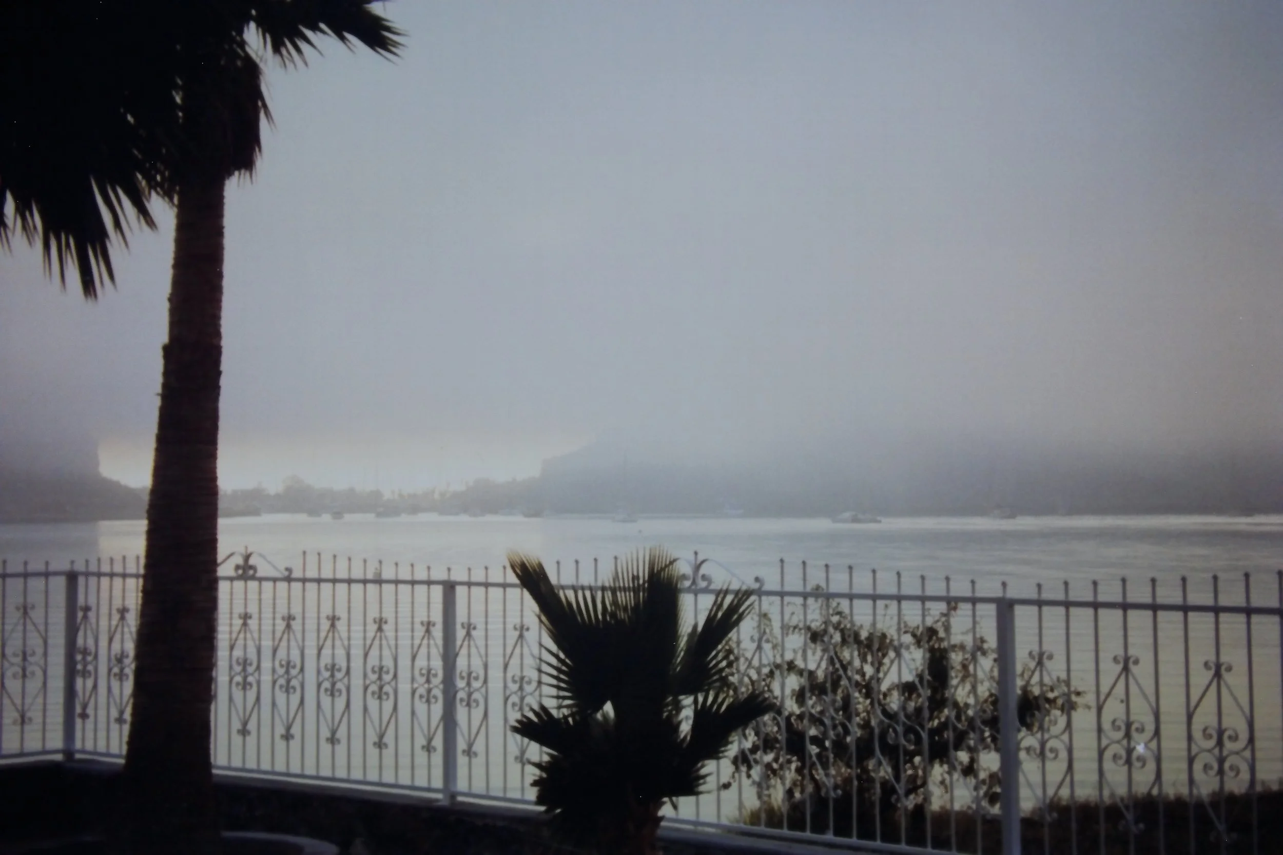 11.27.98 Fog in San Carlos 2.JPG