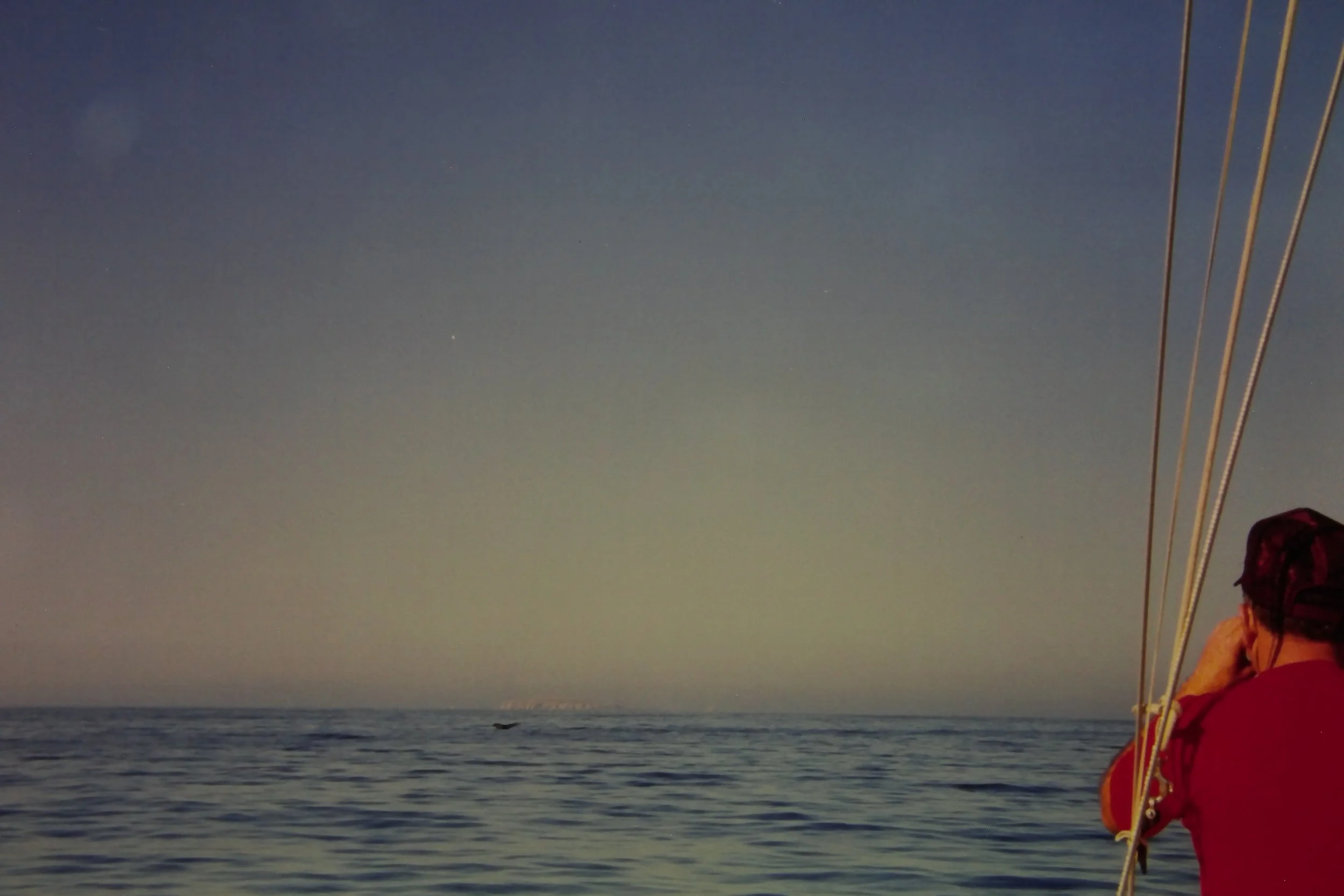 1.99 Craig Blackburn Whale Watching.JPG