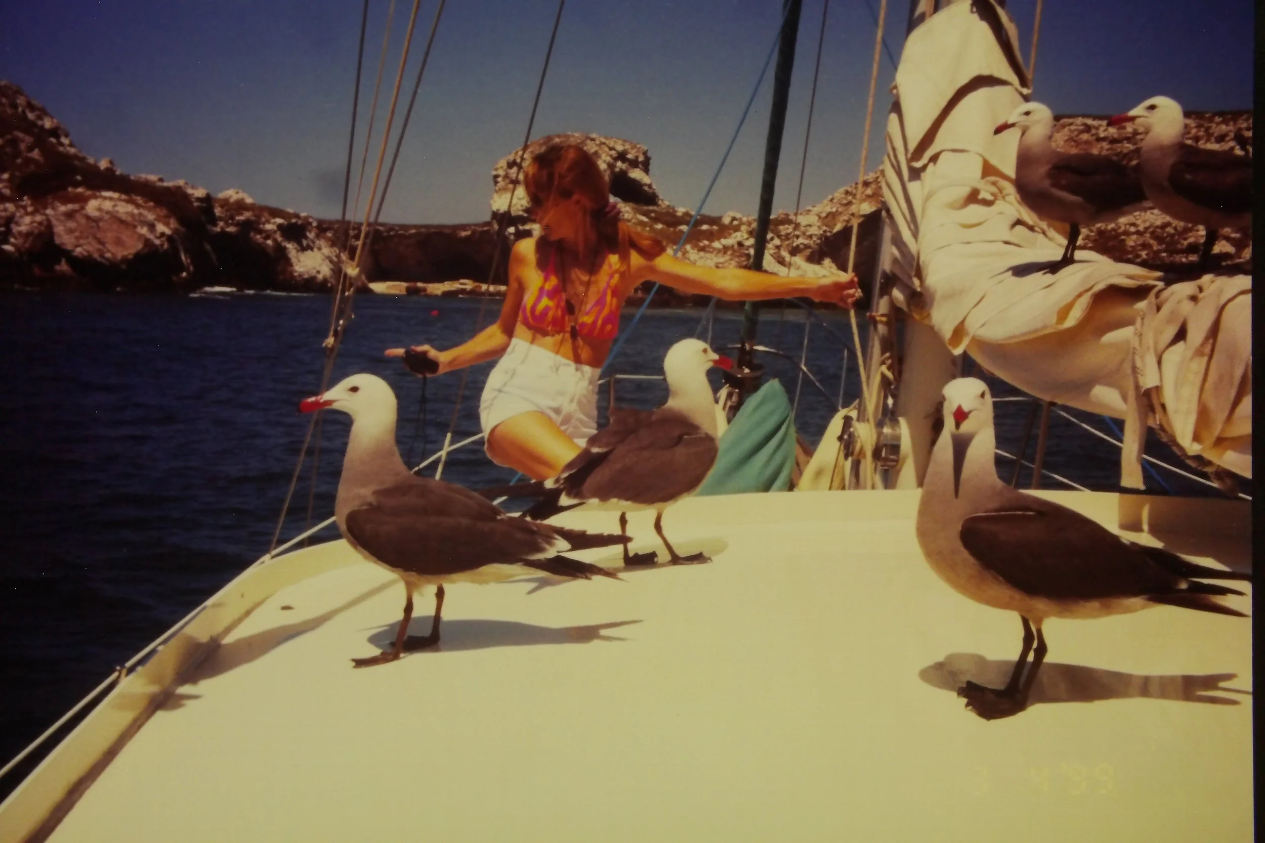 3.3.99 Birds at Tres Marietas.JPG