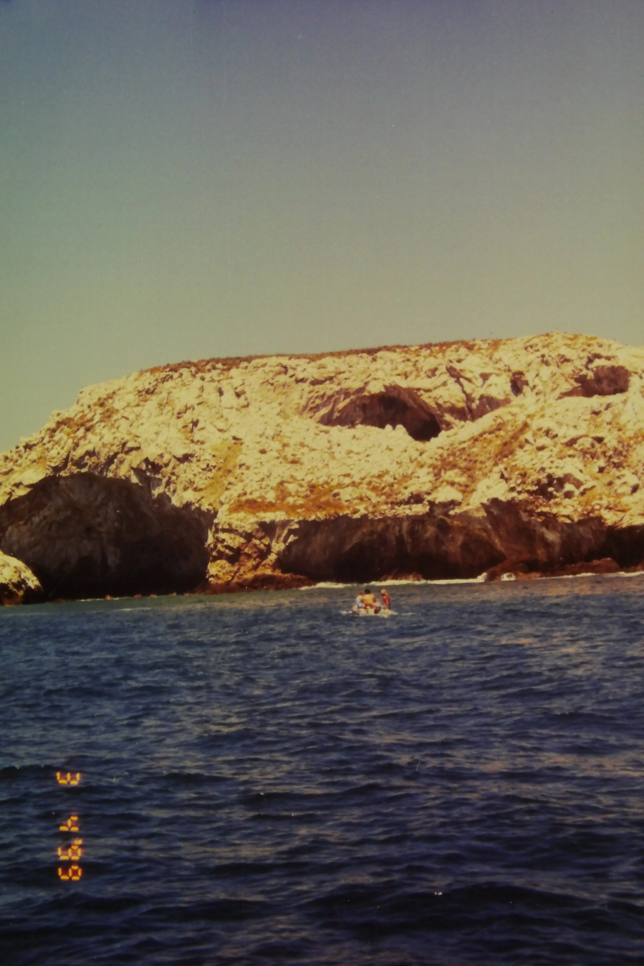 3.3.99 Marietas Birds.JPG