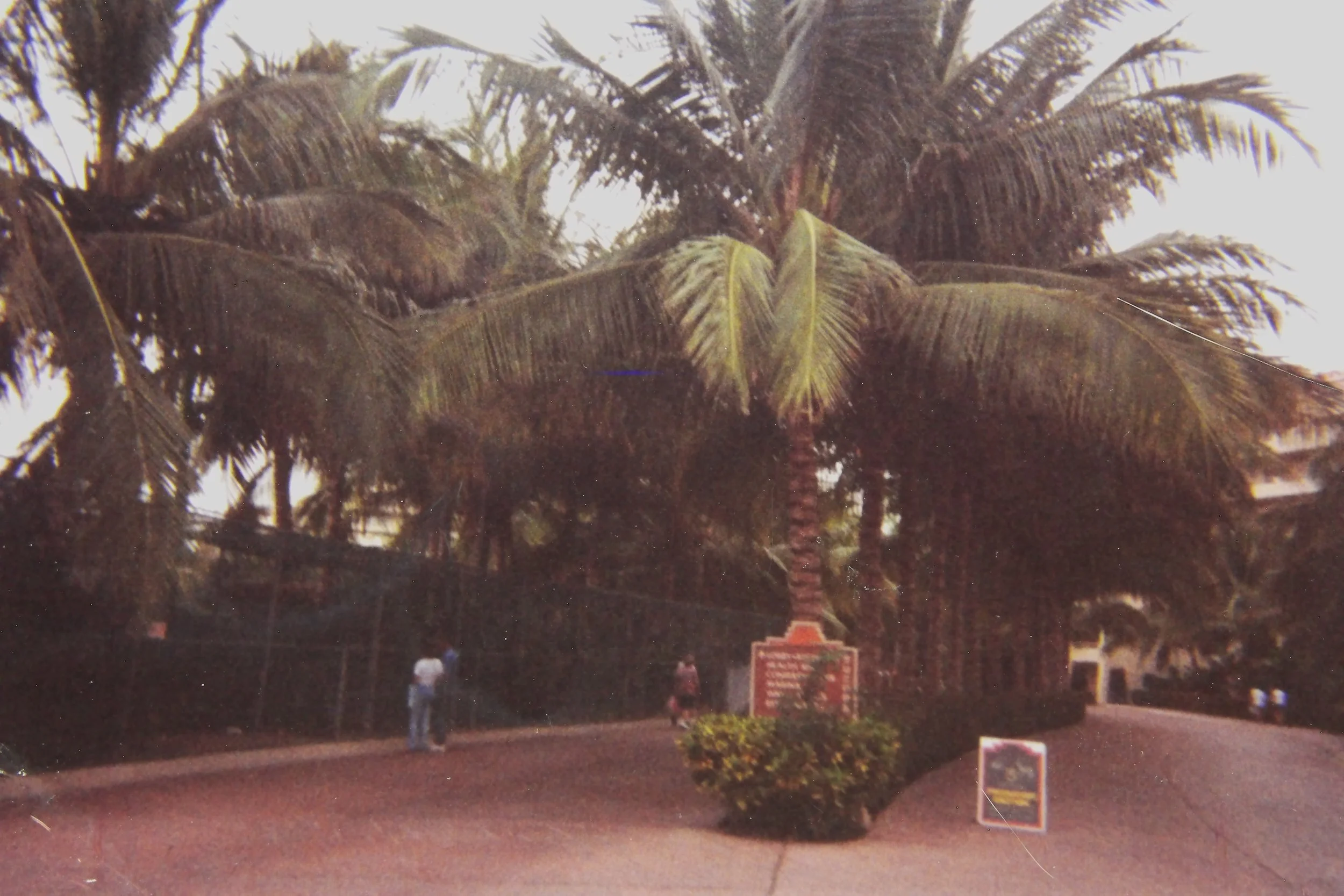 Walking toward the "zoo"