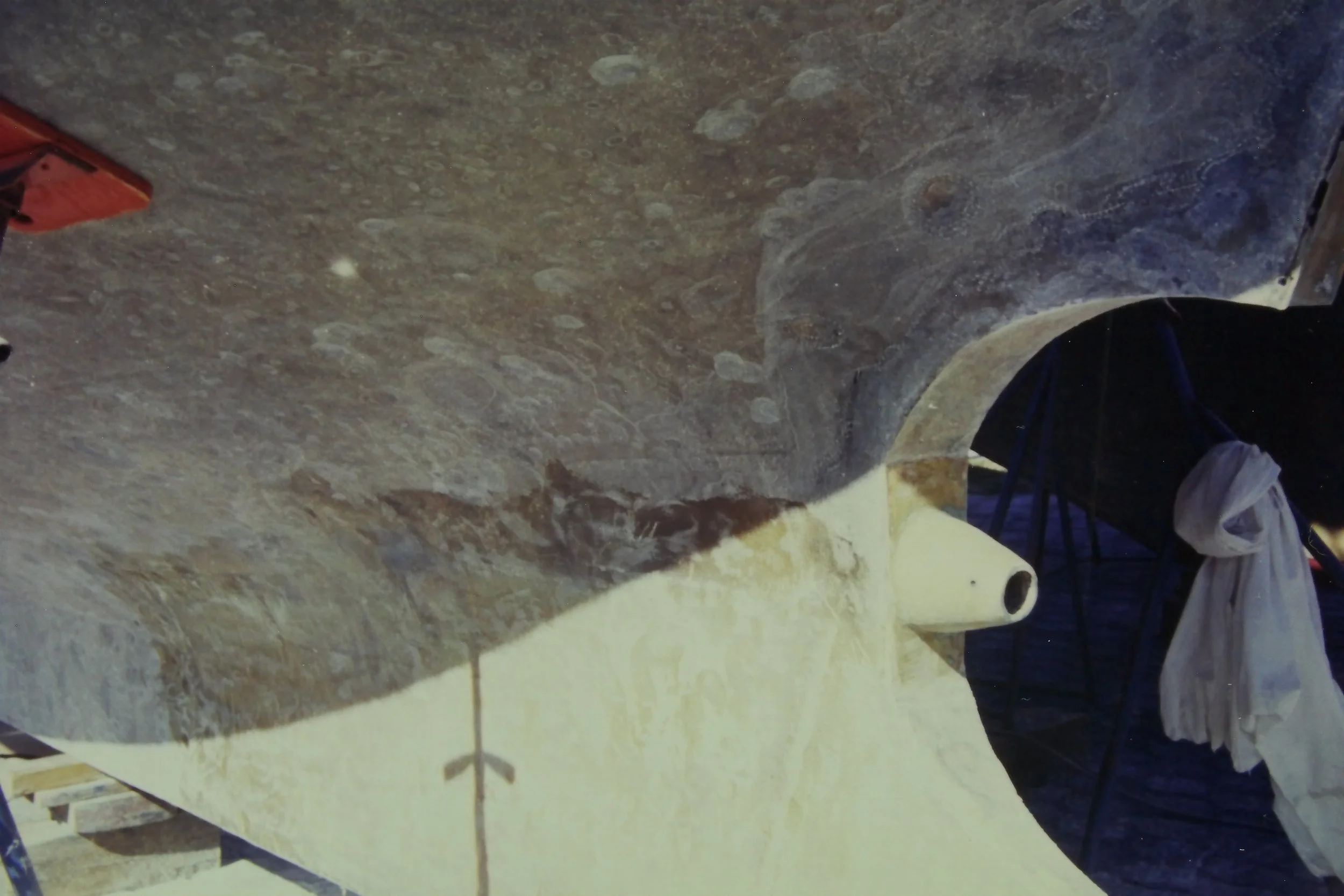 5.99 6 Sandblasting the Star.JPG