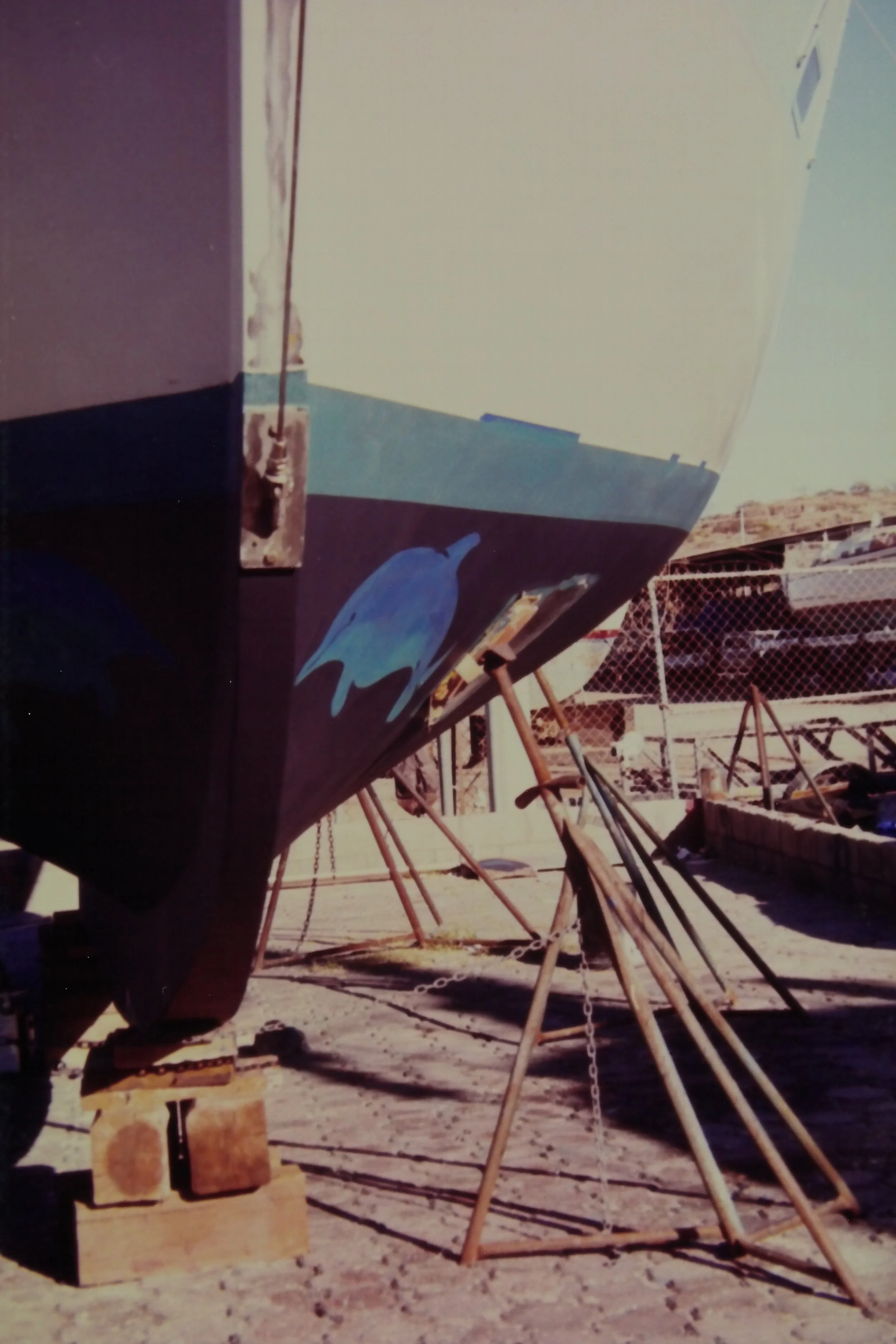 12.99 26 Painting the Dolphins 2.JPG
